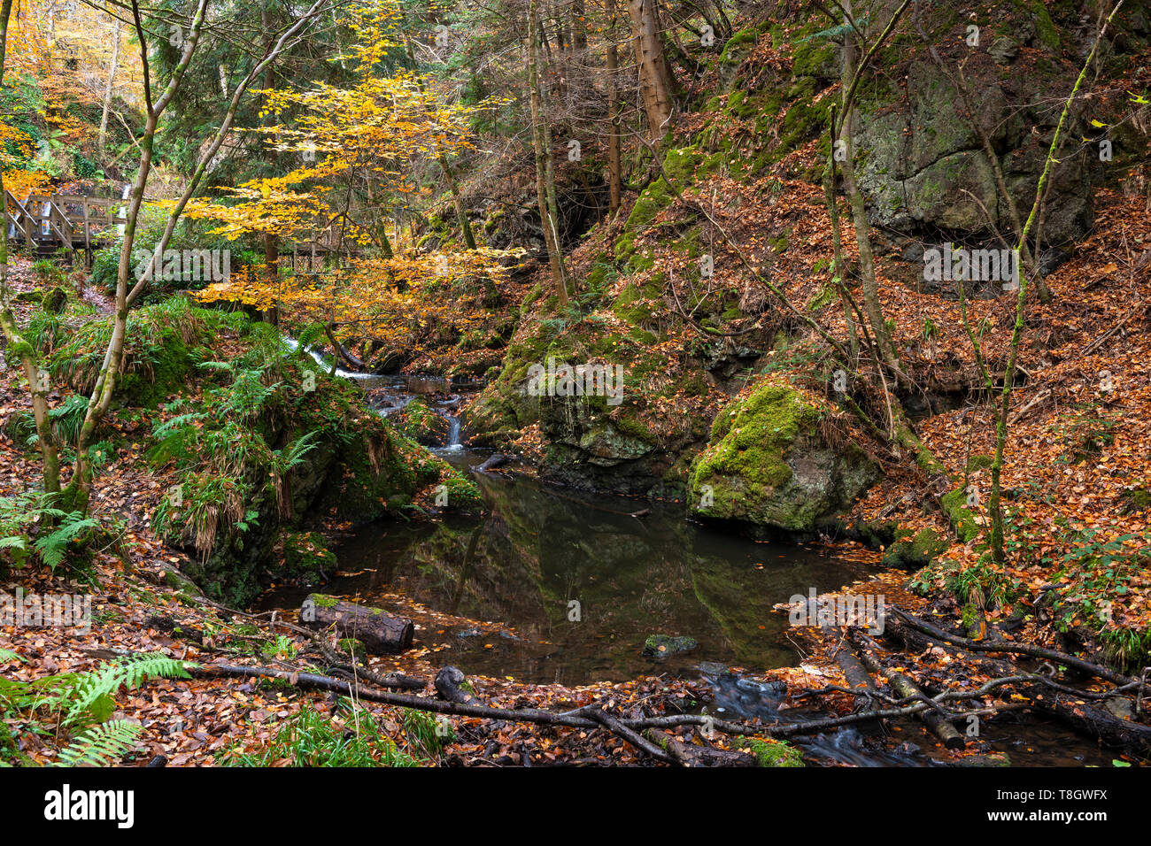 Fairy Glen cascata vicino Rosemarkie su Black Isle in Ross & Cromarty, regione delle Highlands, Scozia Foto Stock