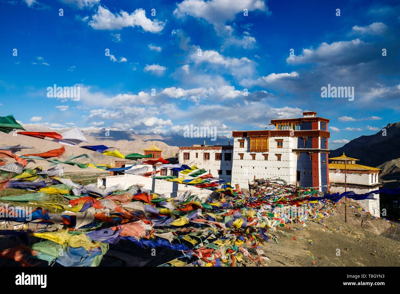 India, stato di Jammu e Kashmir, Himalaya, Ladakh, Indus Valle, Matho monastero (gompa), bandiere di preghiere fluttuante nel vento, la torre colorati e i pavimenti dell'edificio che ospita il nuovo Museo Matho Foto Stock