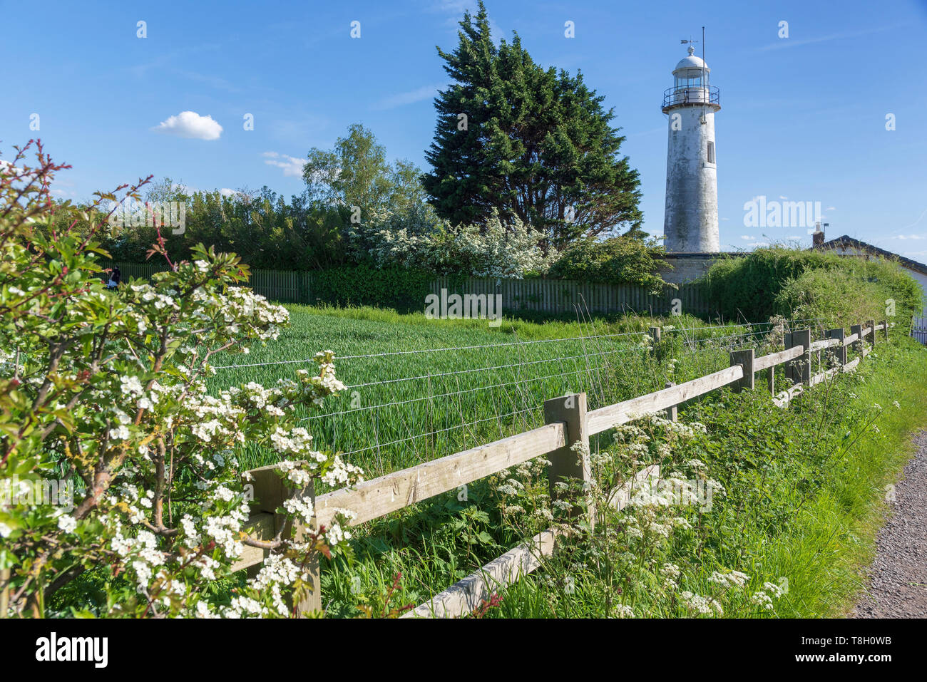 Hale faro. Hale. Merseyside Foto Stock