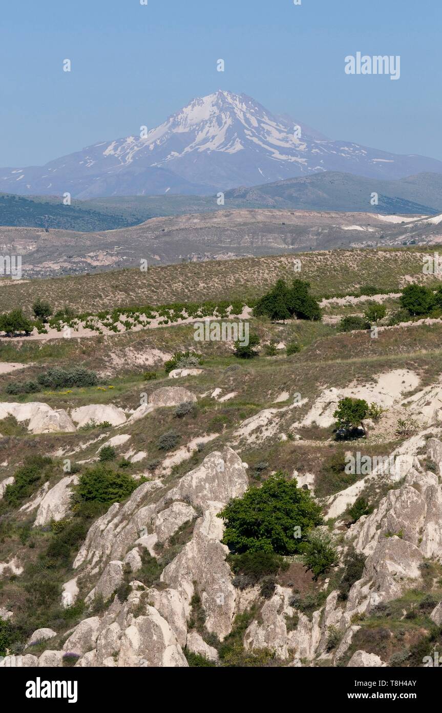 Turchia, Anatolia centrale, Cappadocia, classificato come patrimonio mondiale dall UNESCO, sul Monte Erciyes Foto Stock