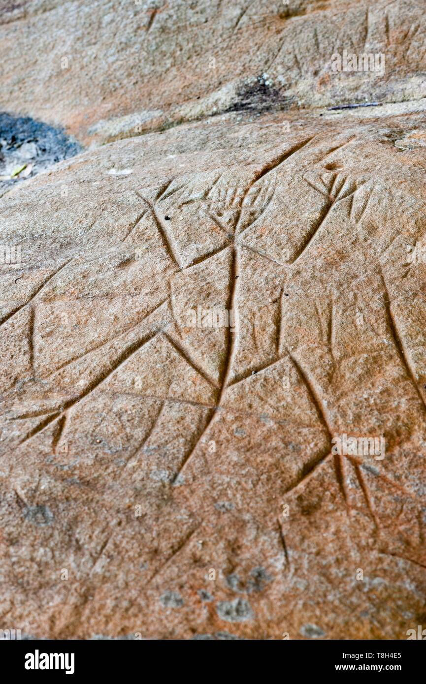 Francia, Guiana francese, Kourou, Amerindian Archeologia Centro di Kourou, rocce incise di Carapa, incisioni rupestri Foto Stock