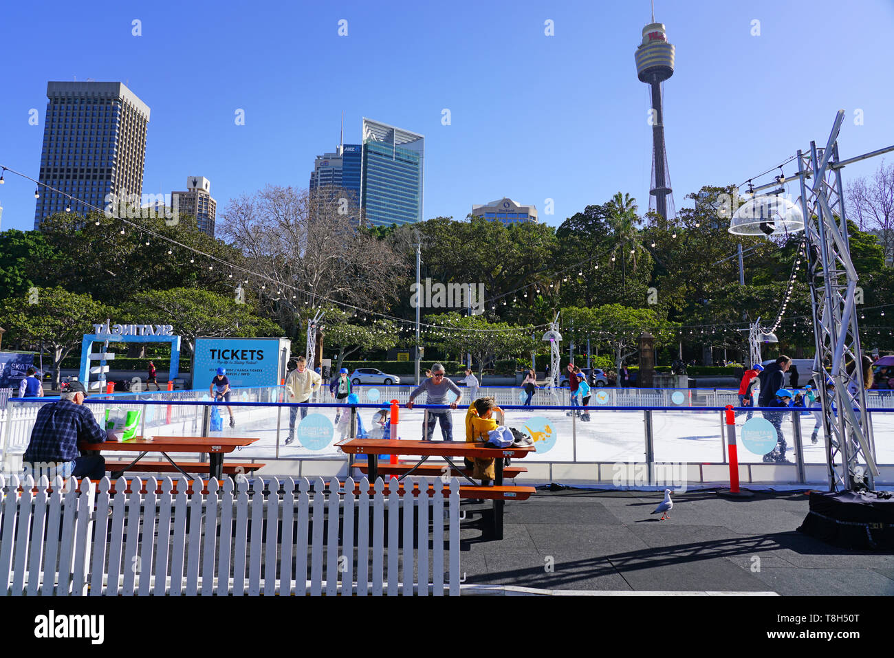 SYDNEY, AUSTRALIA -18 luglio 2019- Il Natale in luglio con una vista del campo da pattinaggio Skatingat Festival in Cathedral Square nel centro cittadino di Sydney. Foto Stock