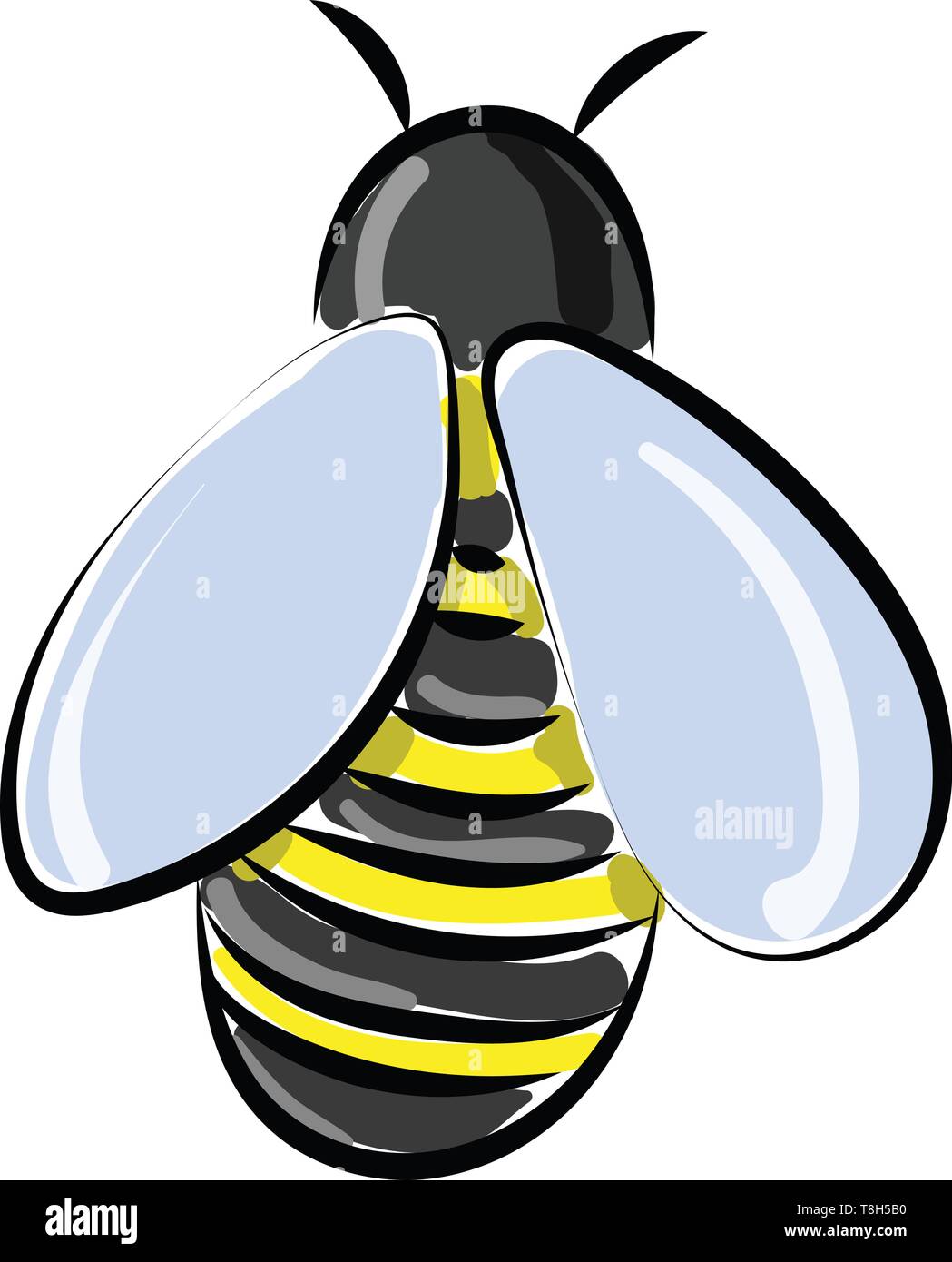 Un miele delle api in giallo e nero con ali blu , il vettore, il colore di disegno o illustrazione. Illustrazione Vettoriale