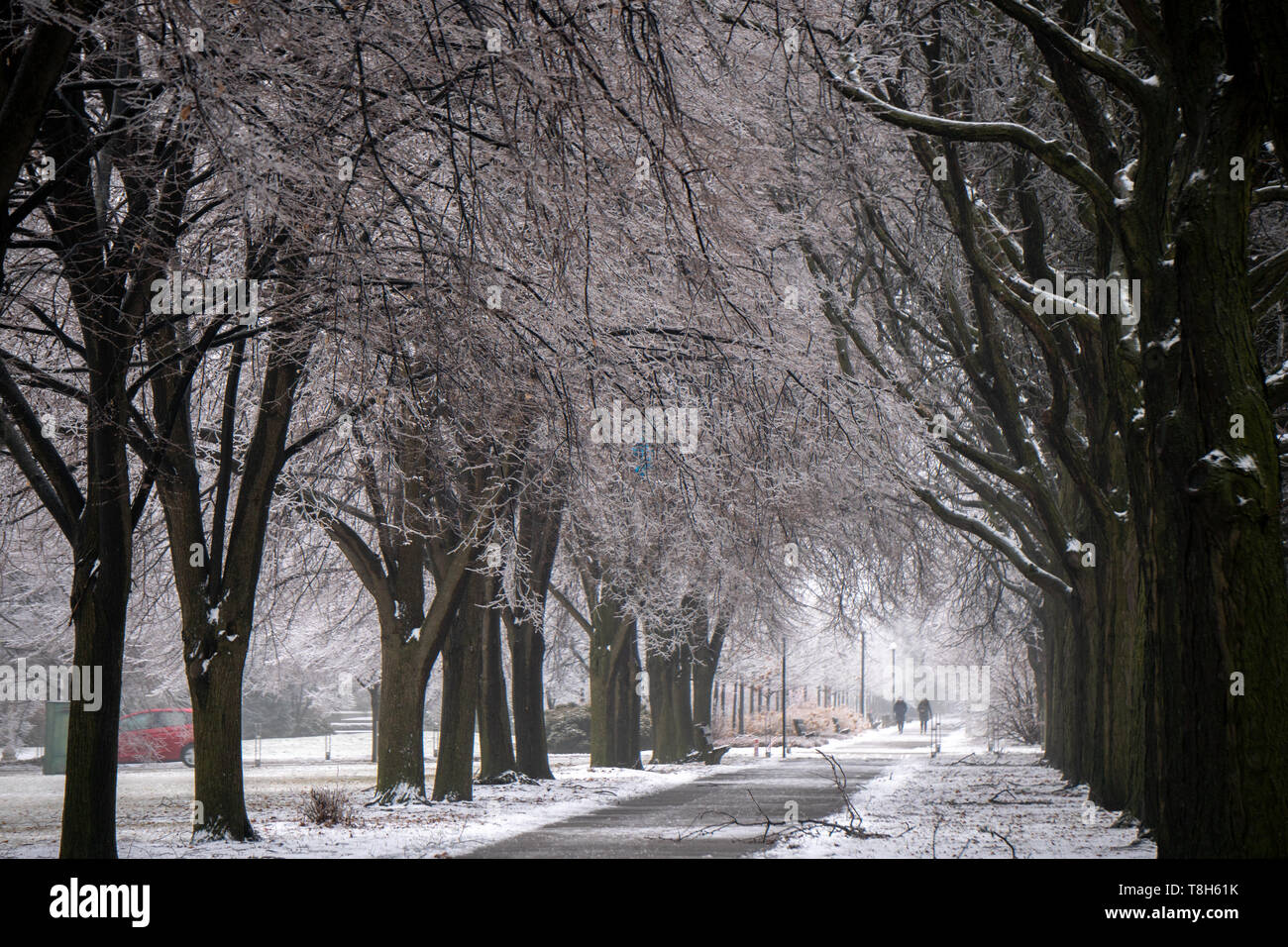 Due persone che camminano nella neve, Chicago, Illinois, Stati Uniti Foto Stock