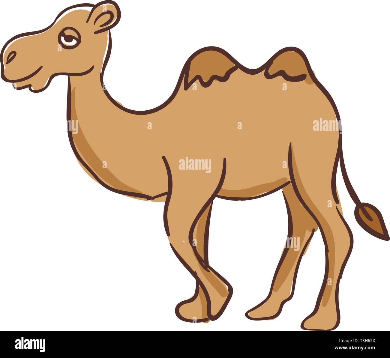 Un piccolo cammello camminando lentamente in un dessert , il vettore, il  colore di disegno o illustrazione Immagine e Vettoriale - Alamy