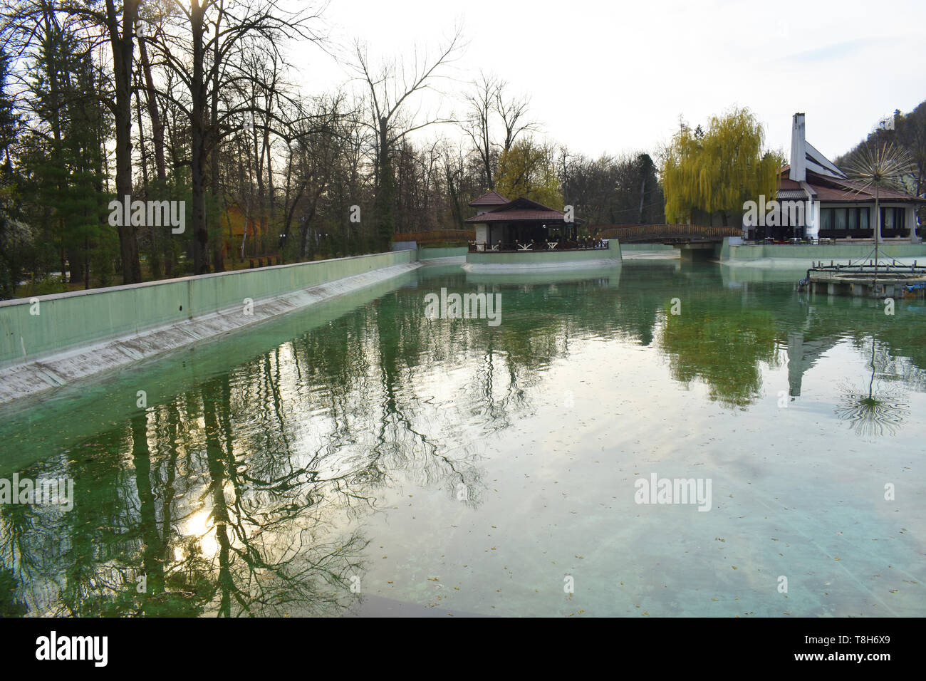 Bellissimo Parco Lago con alberi riflessa in cconsiderare un acqua di cristallinità Foto Stock