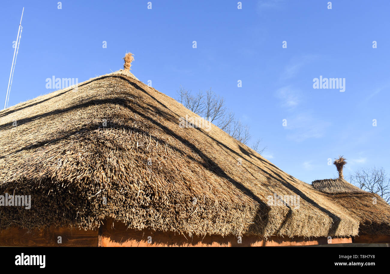 Africana tradizionale tetto in paglia contro un cielo blu Foto Stock