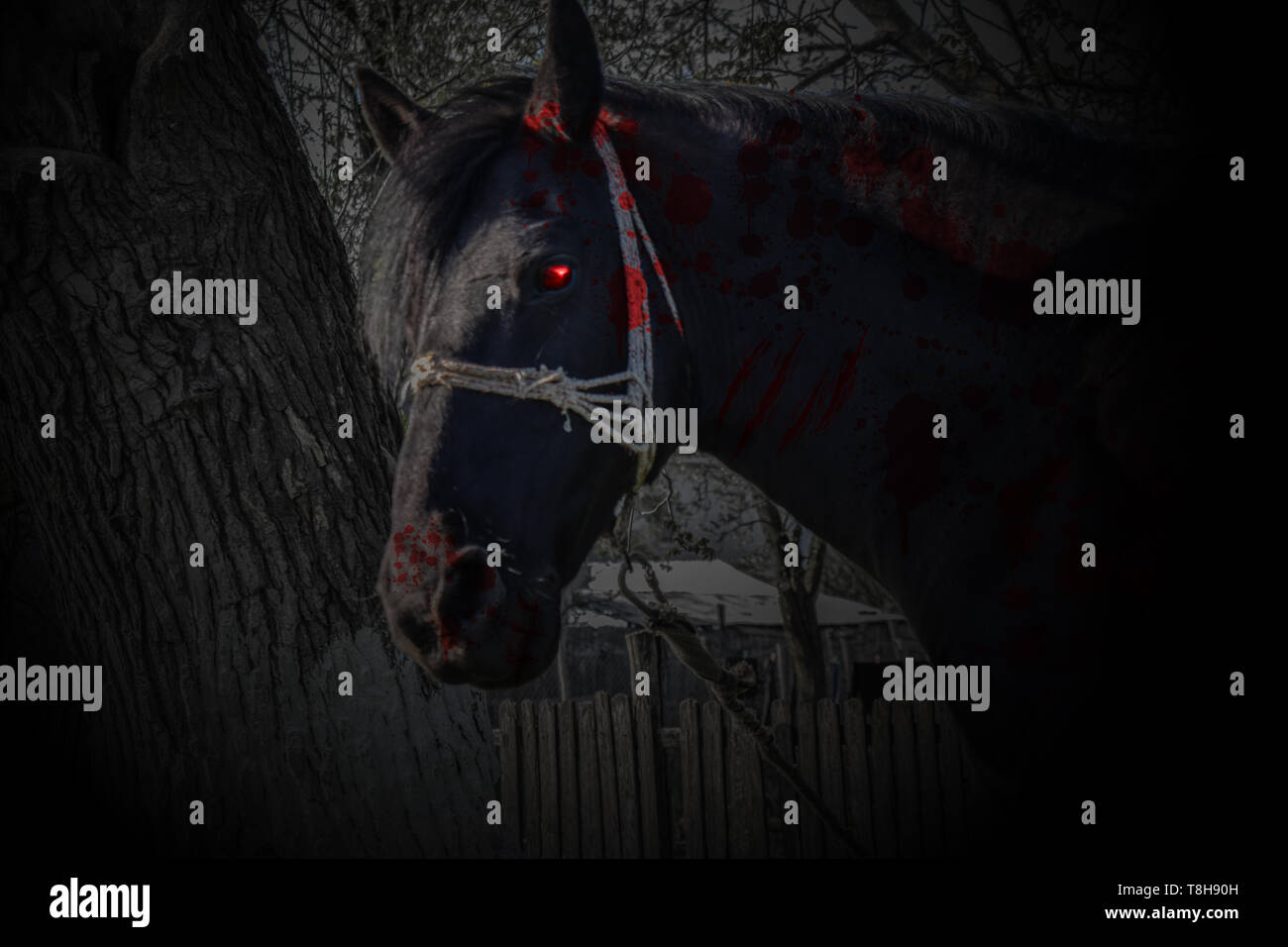 Orrore cavallo nero con gli occhi rossi e il sangue in una oscura atmosfera da brivido Foto Stock