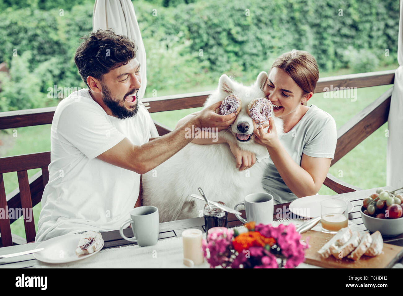Trasmissione via IR di giovane la condivisione di ridere e di mettere le ciambelle al loro Samoiedo Foto Stock