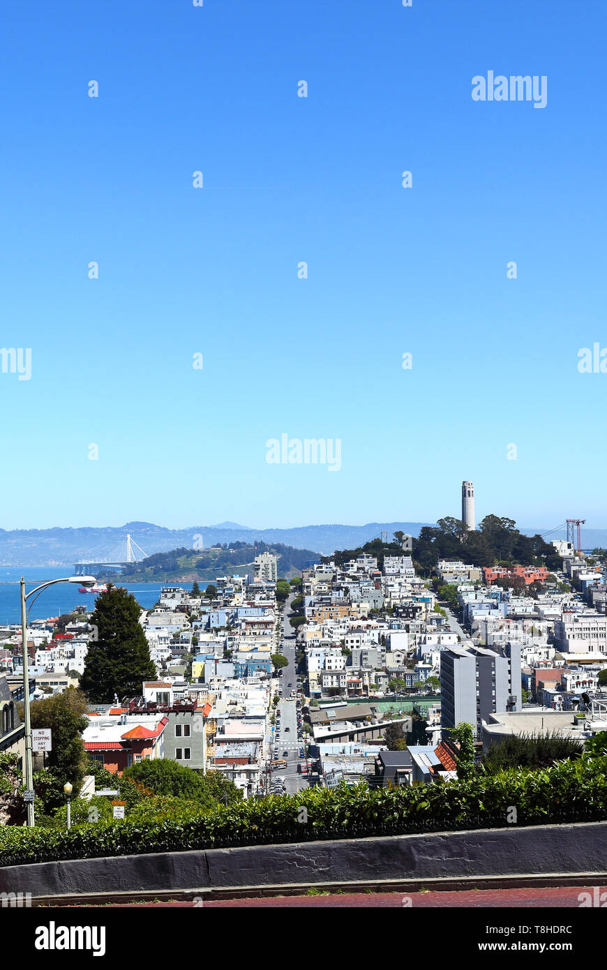 San Francisco: Guardando giù Lombard Street verso la Collina del Telegrafo. Foto Stock