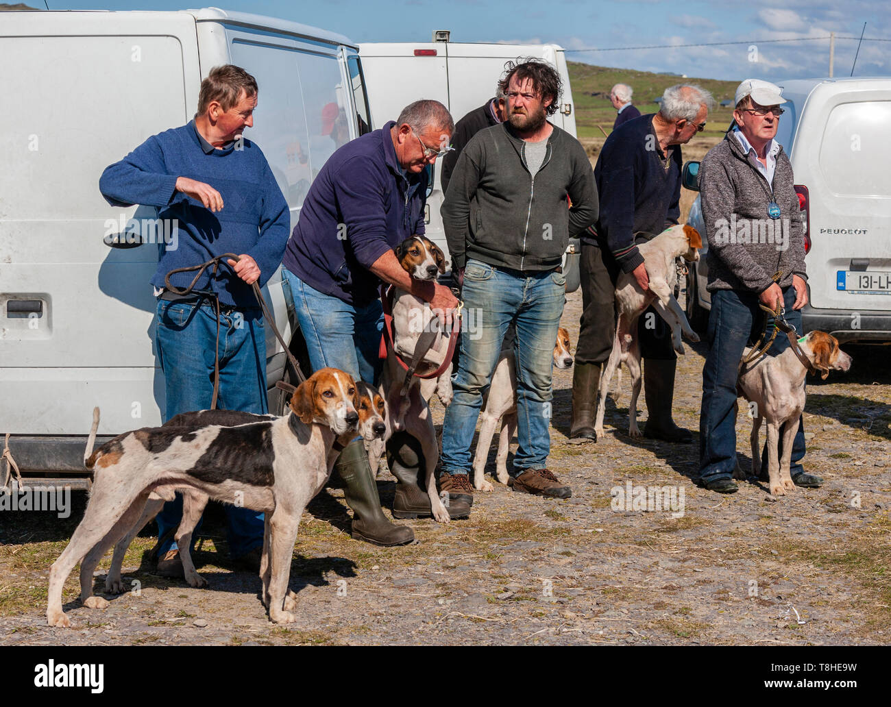 Trascinare Hunt gara incontro, Valentia Island, nella contea di Kerry, Irlanda Foto Stock