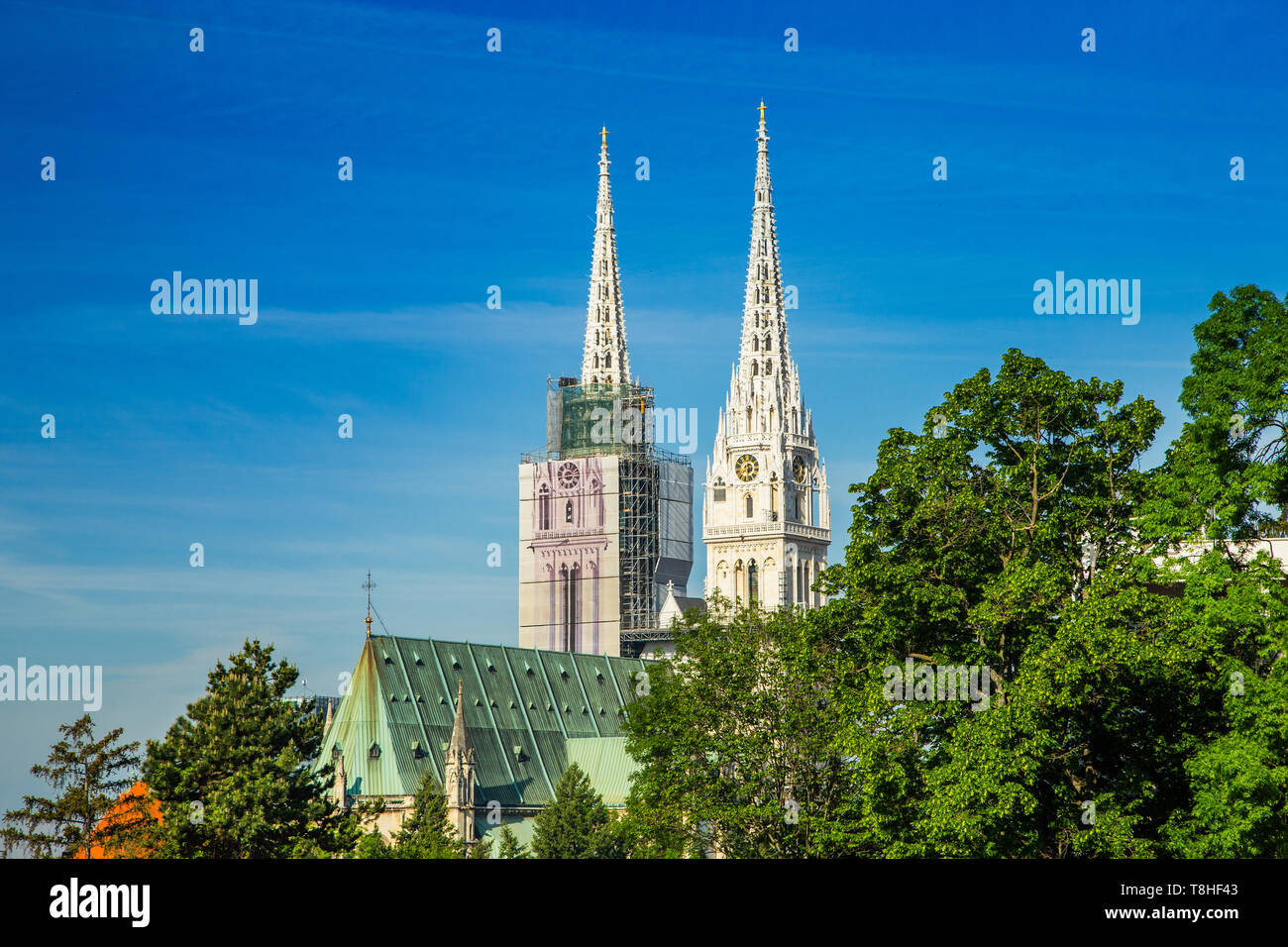 Zagabria, la capitale della Croazia, cattedrale cattolica di nascosto tra gli alberi Foto Stock