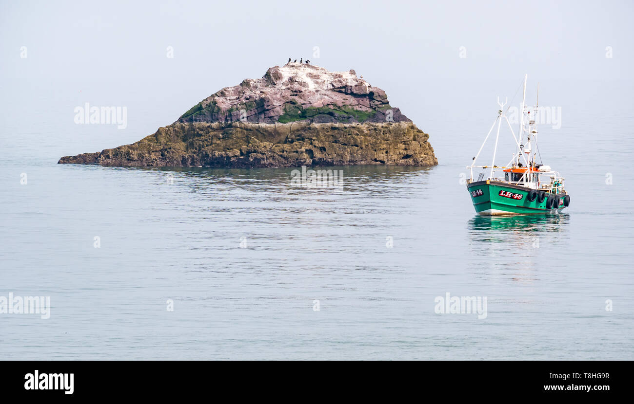 Dunbar barca da pesca in mare calmo accanto alla piccola isola rocciosa con uccelli marini,Firth of Forth, East Lothian, Scozia, Regno Unito Foto Stock