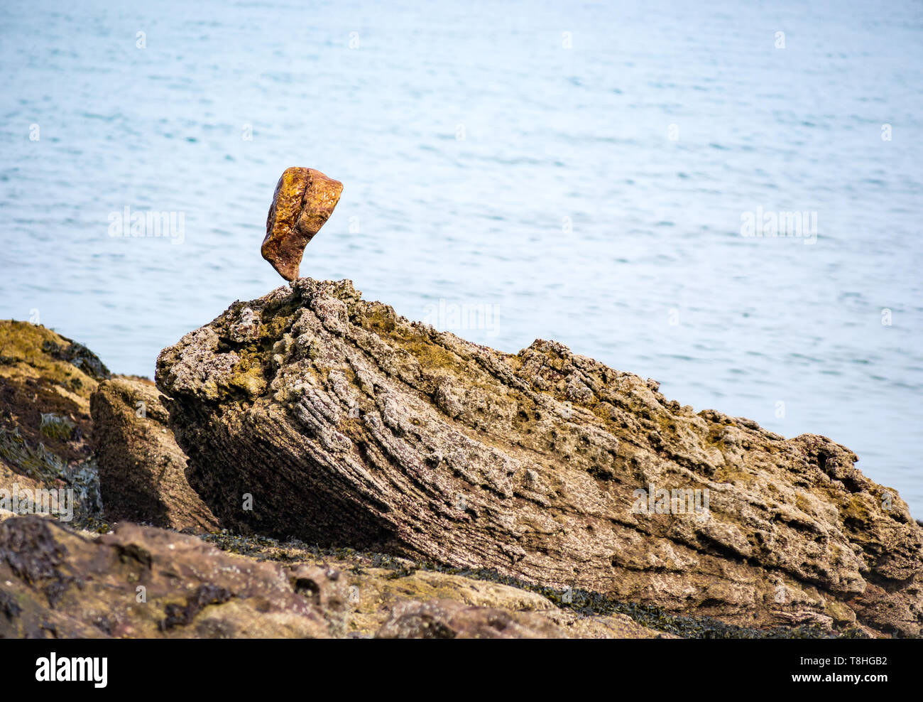 Pietra equilibrato sulla costa rocciosa accanto al mare, Firth of Forth, East Lothian, Scozia, Regno Unito Foto Stock