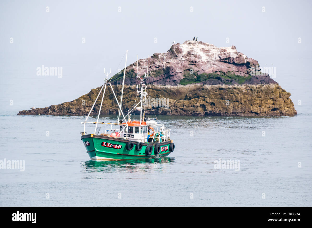 Dunbar barca da pesca in mare calmo accanto alla piccola isola rocciosa con uccelli marini, Firth of Forth, East Lothian, Scozia, Regno Unito Foto Stock