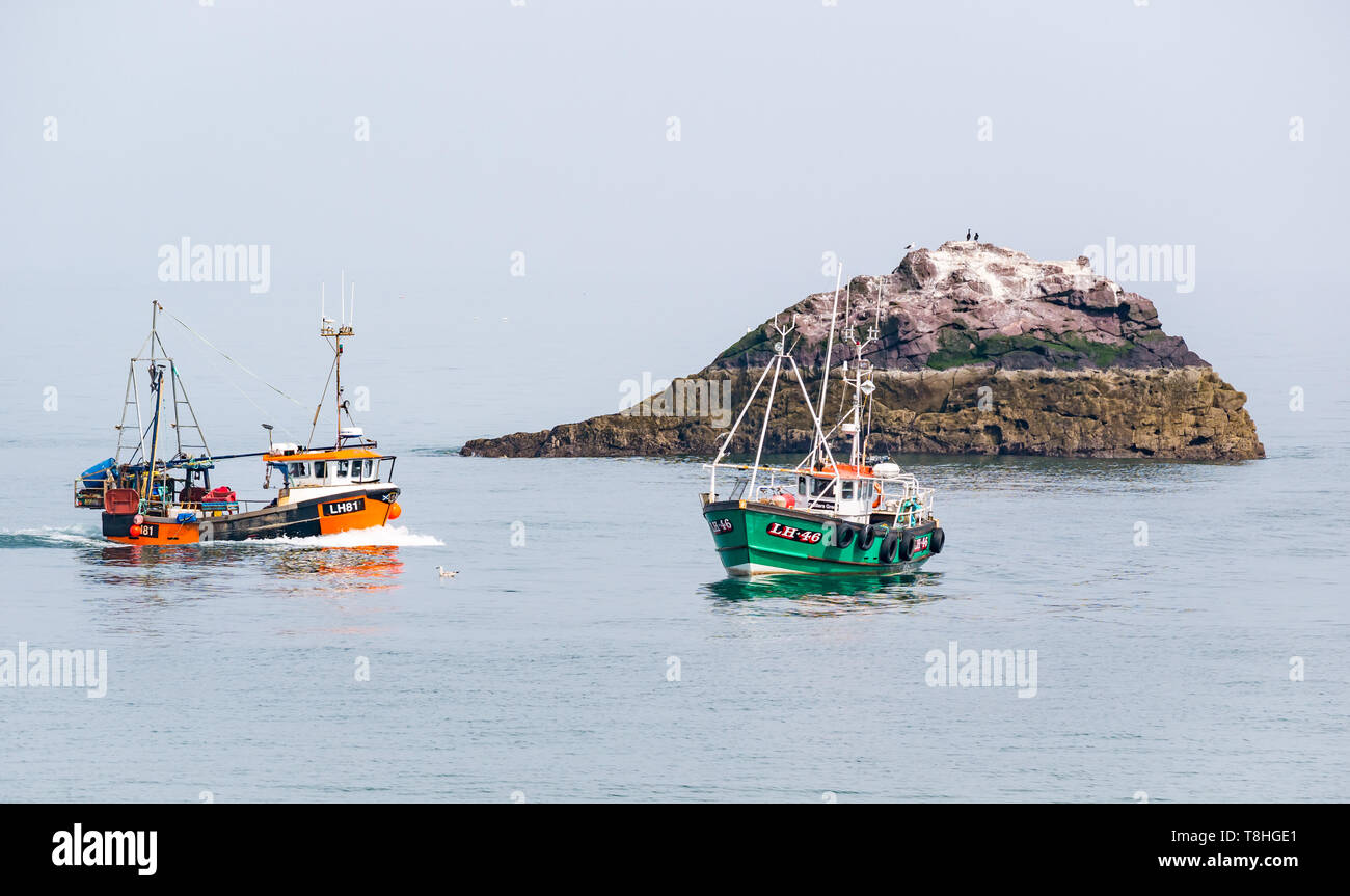 Dunbar barche da pesca in mare calmo accanto alla piccola isola rocciosa con uccelli marini, Firth of Forth, East Lothian, Scozia, Regno Unito Foto Stock