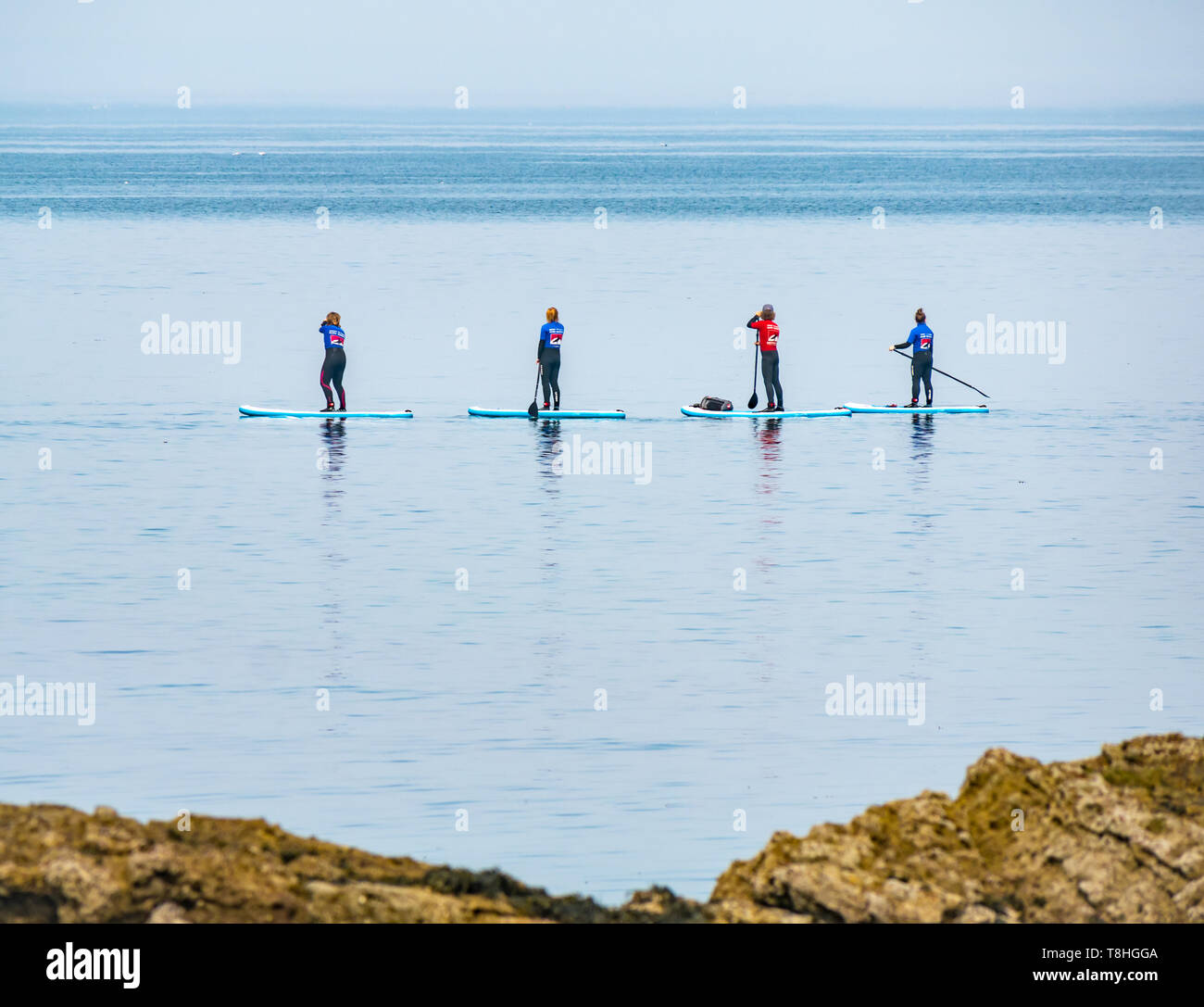 Gruppo di paddle boarder nel mare calmo accanto alla spiaggia rocciosa, Firth of Forth, East Lothian, Scozia, Regno Unito Foto Stock