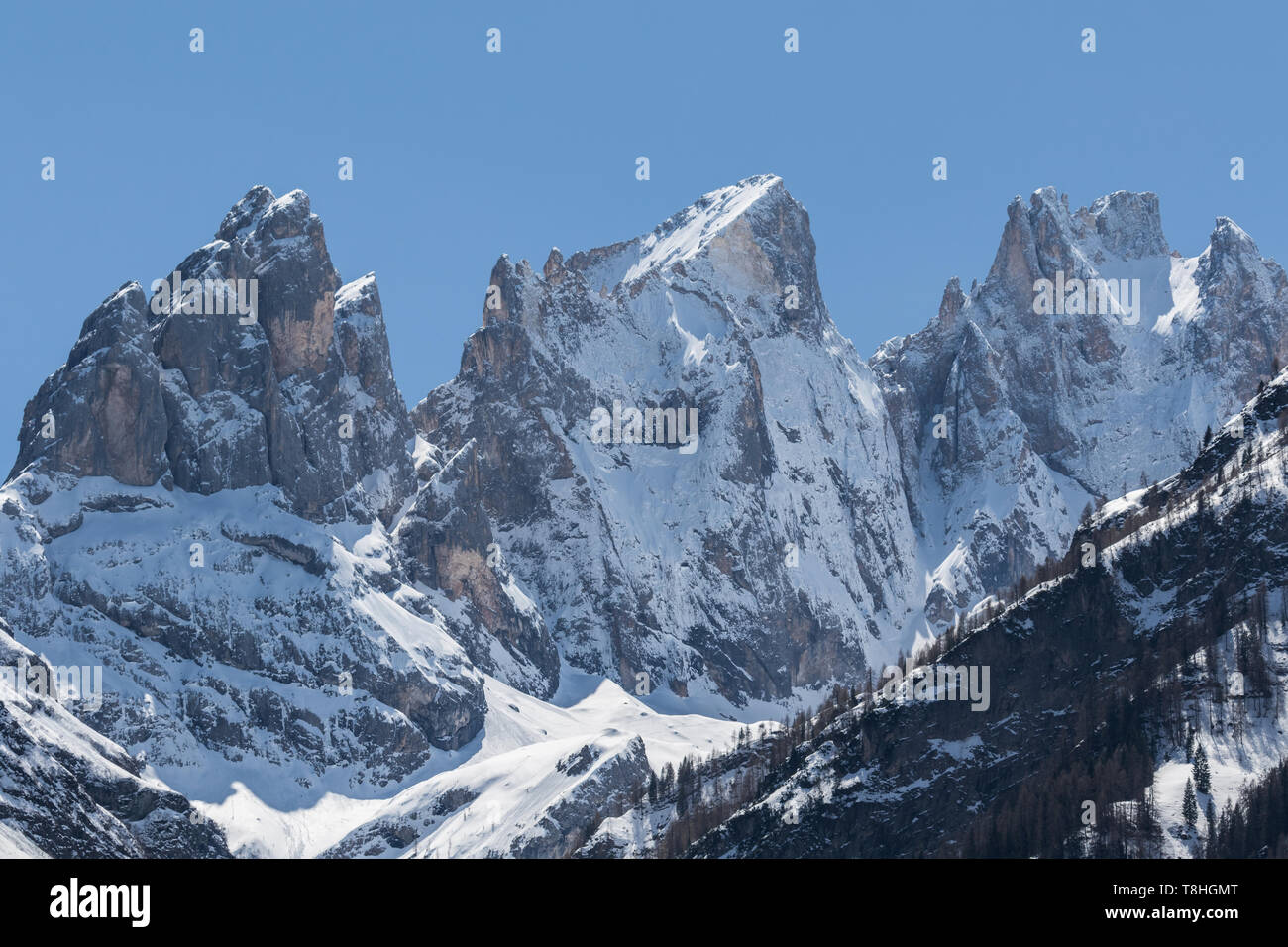 Focobon gruppo sopra Falcade, Dolomiti, Italia Foto Stock