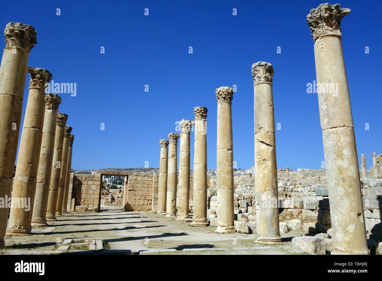 Colonne in Jerash, Giordania, Dzseras, Gerasza Foto Stock