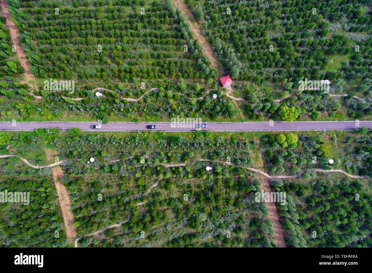 (190513) -- Pechino, 13 maggio 2019 (Xinhua) -- foto aerea presa il 7 agosto, 2018 mostra una vista di Xiaonanshan Forest Park in Youyu contea di Shuozhou, città del nord della Cina nella provincia dello Shanxi. Il 'Giorno hanxi 'tema evento tenutosi come parte del Beijing International mostra ortoculturale calci fuori a Pechino il 12 maggio. Il giardino dello Shanxi mette in mostra il suo impegno in greening e imboschimento come pure il suo concetto di sviluppo verde alla corso expo. Non è più fatto affidamento soprattutto sulla sua industria carboniera per la crescita, Shanxi è stata impegnata nello sviluppo di energia pulita e di altre industrie emergenti a s Foto Stock