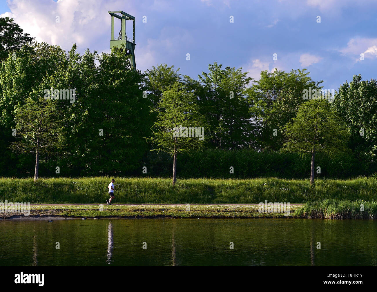 (190513) -- ESSEN, 13 maggio 2019 (Xinhua) -- Un cittadino fa avanzare nel Parco Krupp di Essen, in Germania, 9 maggio 2019. Situato nella Ruhr, una base e base per e nel settore siderurgico in Renania settentrionale-Vestfalia, Germania, di Essen ha visto un verde transizione del settore negli ultimi anni. Una volta fortemente inquinati, Essen ha trasformato in un luogo pulito e centro culturale. Attualmente, circa il 68% della terra di Essen è stata boscate. Durante l'Internazionale di Pechino mostra orticola, Germania Pavilion presenta come verde di iniziative e progetti che hanno contribuito a ripristinare l'ambiente dopo l'inquinamento, con foto e video Foto Stock