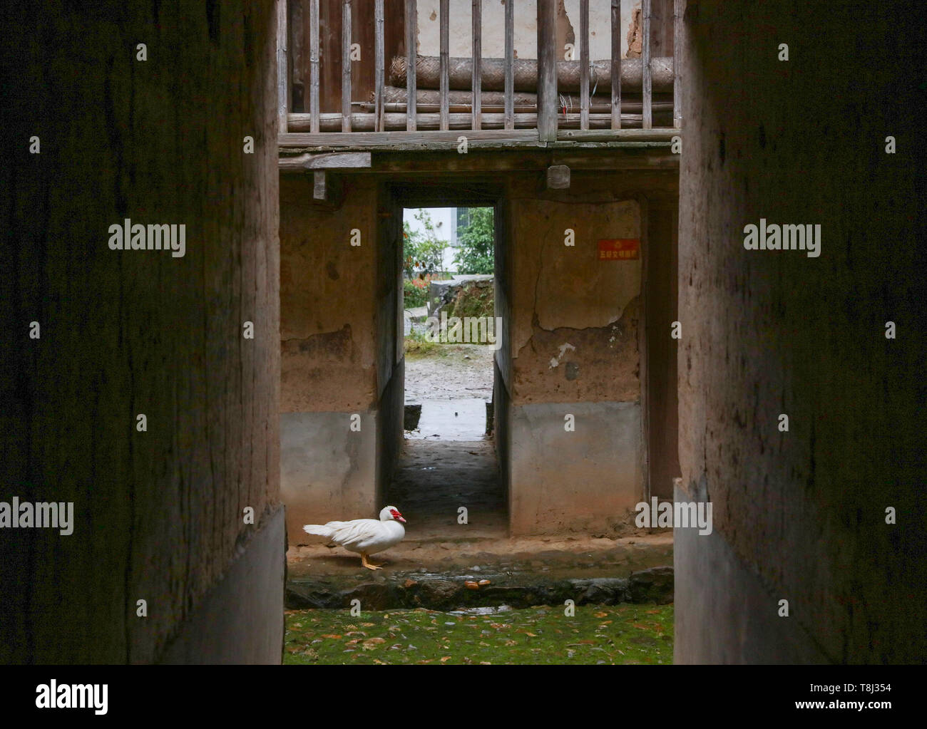 (190514) -- RUIJIN, 14 maggio 2019 (Xinhua) -- Un vecchio adobe house è visto nel villaggio Huawu in Yeping Township, Ruijin città della Cina orientale della provincia di Jiangxi, 6 maggio 2019. Huawu, o 'villaggio delle persone soprannominato Hua" in inglese è un compendio dei cambiamenti che avvengono nella città di Ruijin, un centro di inizio attività rivoluzionaria del Partito Comunista della Cina (CPC). Al giorno d'oggi, frutta e verdura locale sono diventati grandi industrie, e rosso turismo e prodotto agricolo elaborazione sono in piena espansione. Negli ultimi anni molti una volta che impoverisce gli abitanti del villaggio hanno scosso off la povertà come l'anti-povert Foto Stock