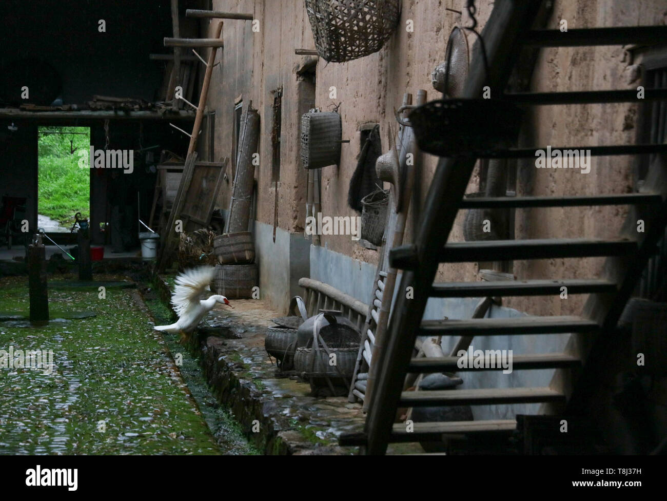 (190514) -- RUIJIN, 14 maggio 2019 (Xinhua) -- Un vecchio adobe house è visto nel villaggio Huawu in Yeping Township, Ruijin città della Cina orientale della provincia di Jiangxi, 6 maggio 2019. Huawu, o 'villaggio delle persone soprannominato Hua" in inglese è un compendio dei cambiamenti che avvengono nella città di Ruijin, un centro di inizio attività rivoluzionaria del Partito Comunista della Cina (CPC). Al giorno d'oggi, frutta e verdura locale sono diventati grandi industrie, e rosso turismo e prodotto agricolo elaborazione sono in piena espansione. Negli ultimi anni molti una volta che impoverisce gli abitanti del villaggio hanno scosso off la povertà come l'anti-povert Foto Stock