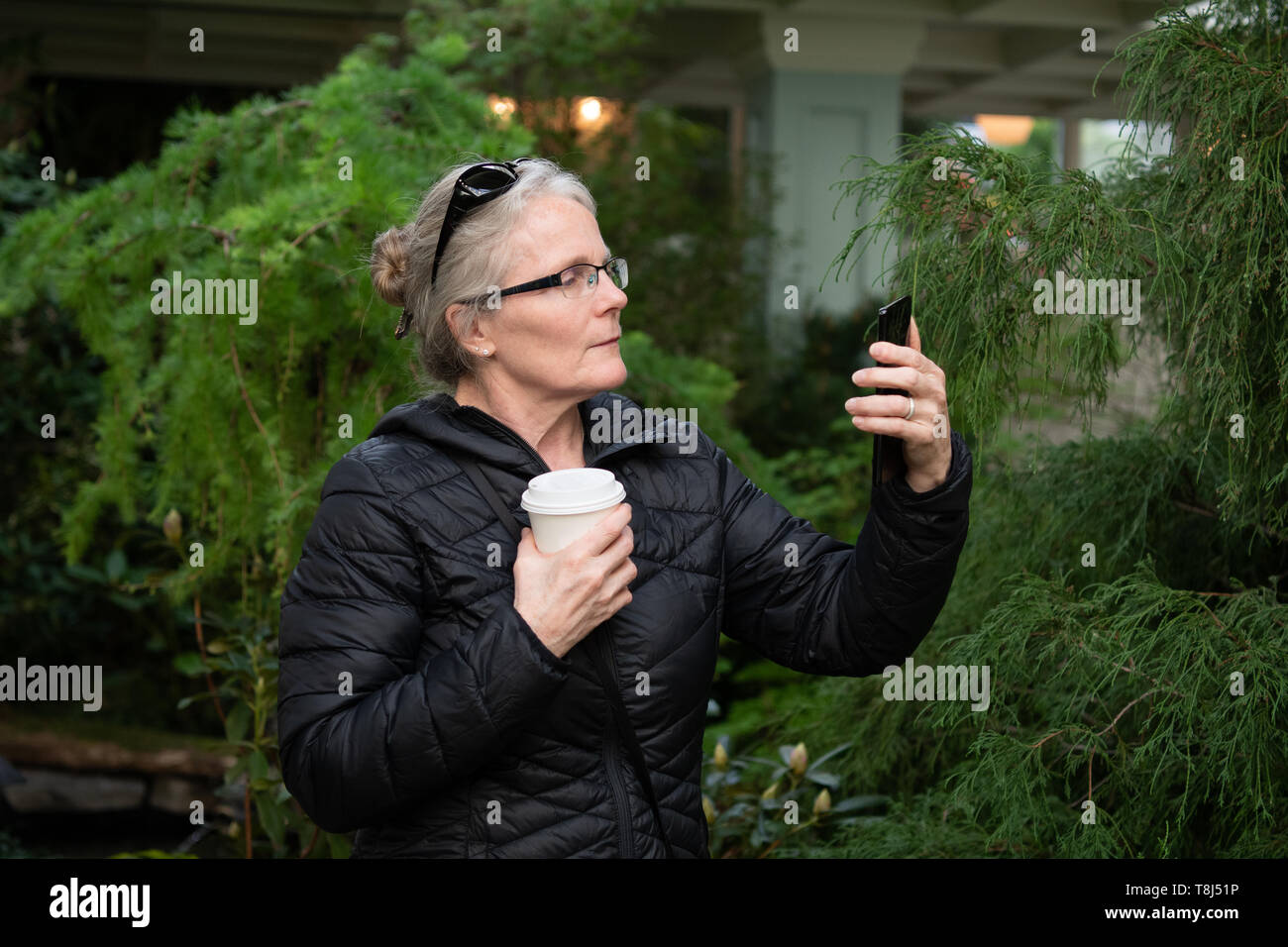 Donna in piedi all'esterno guardando il suo telefono cellulare, British Columbia, Canada Foto Stock