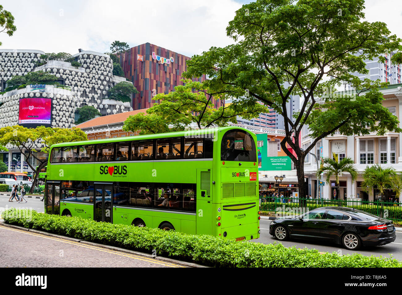 Un bus di Singapore, Singapore, Sud-est asiatico Foto Stock
