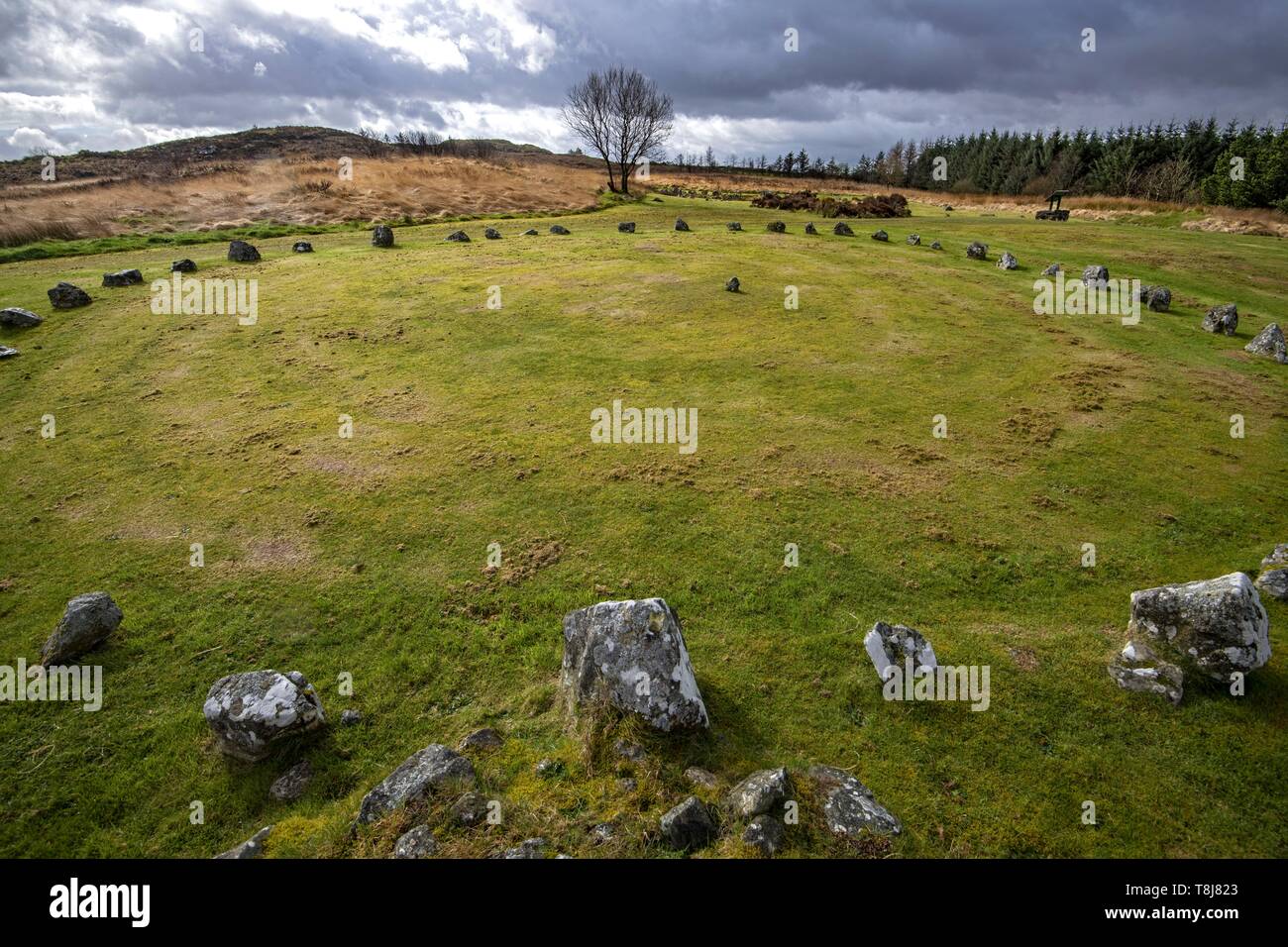 Regno Unito e Irlanda del Nord, Ulster, County Tyrone, montagne Sperrin, Beaghmore circoli di pietra, Foto Stock