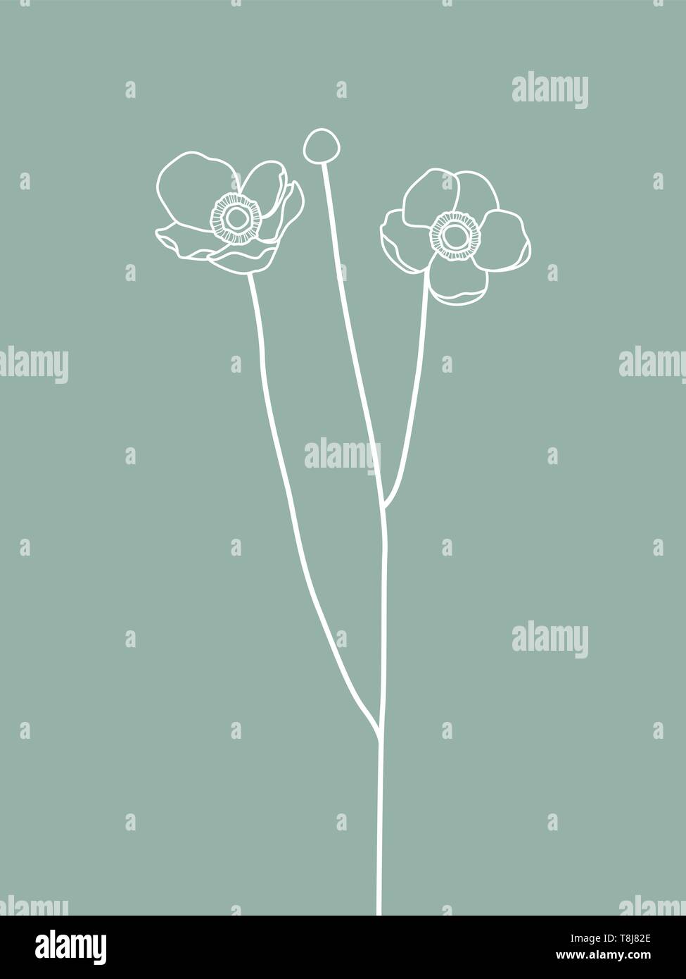 Bianco fiore Anemone Line semplice design. La grafica di nozze Illustrazione Vettoriale