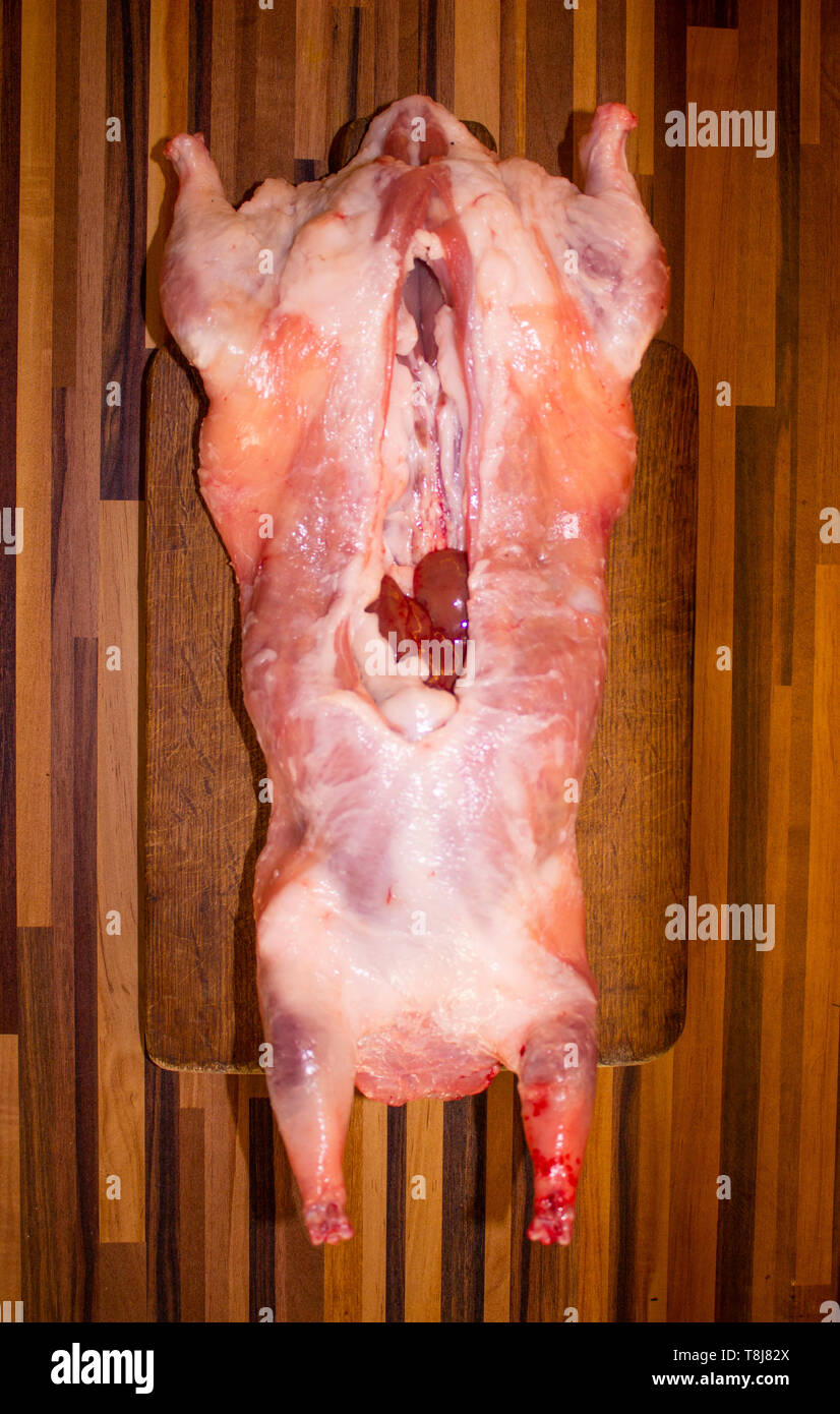 La foto della carcassa animale carni per macelleria, ristorante o competenze veterinarie Foto Stock