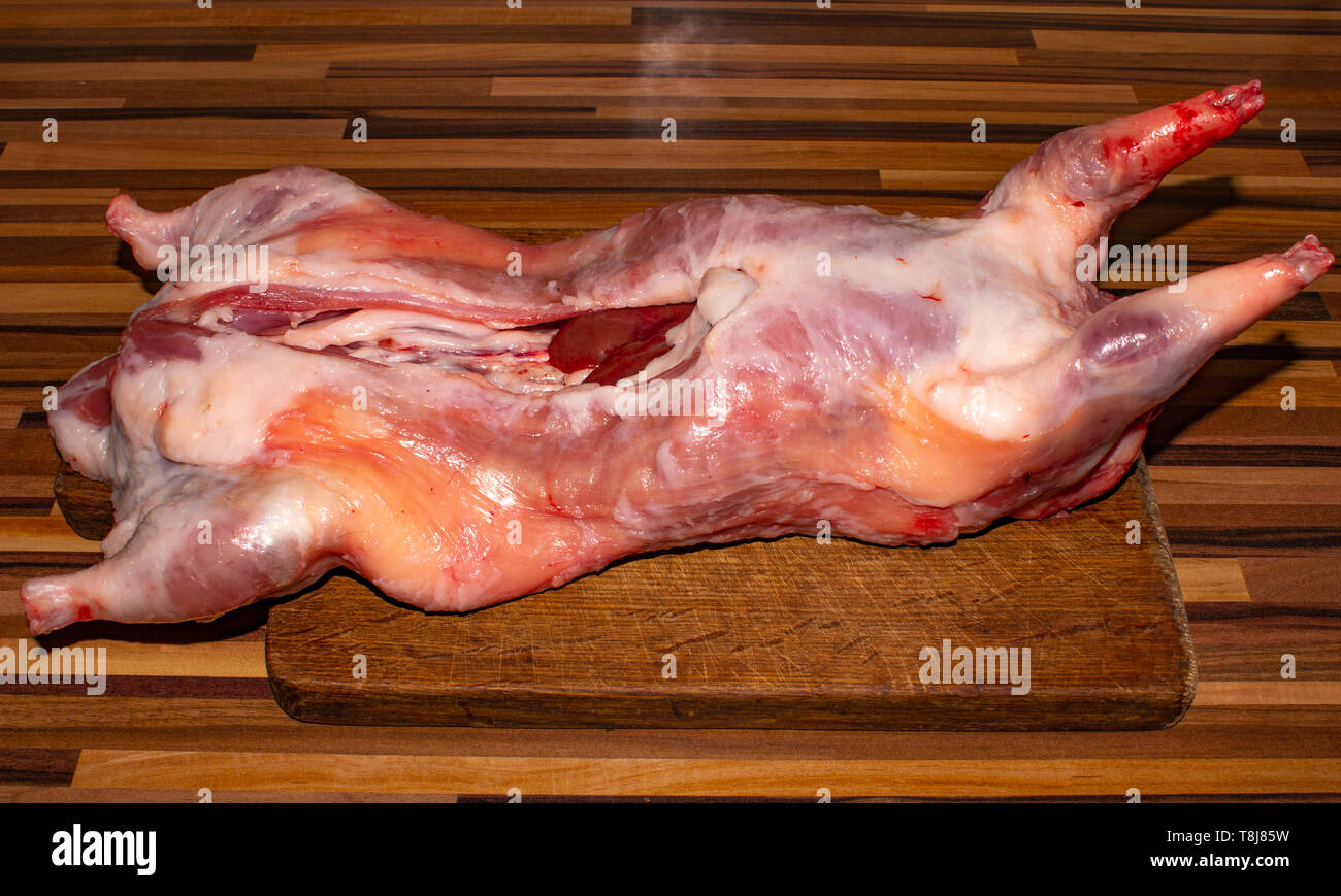 La foto della carcassa animale carni per macelleria, ristorante o competenze veterinarie Foto Stock