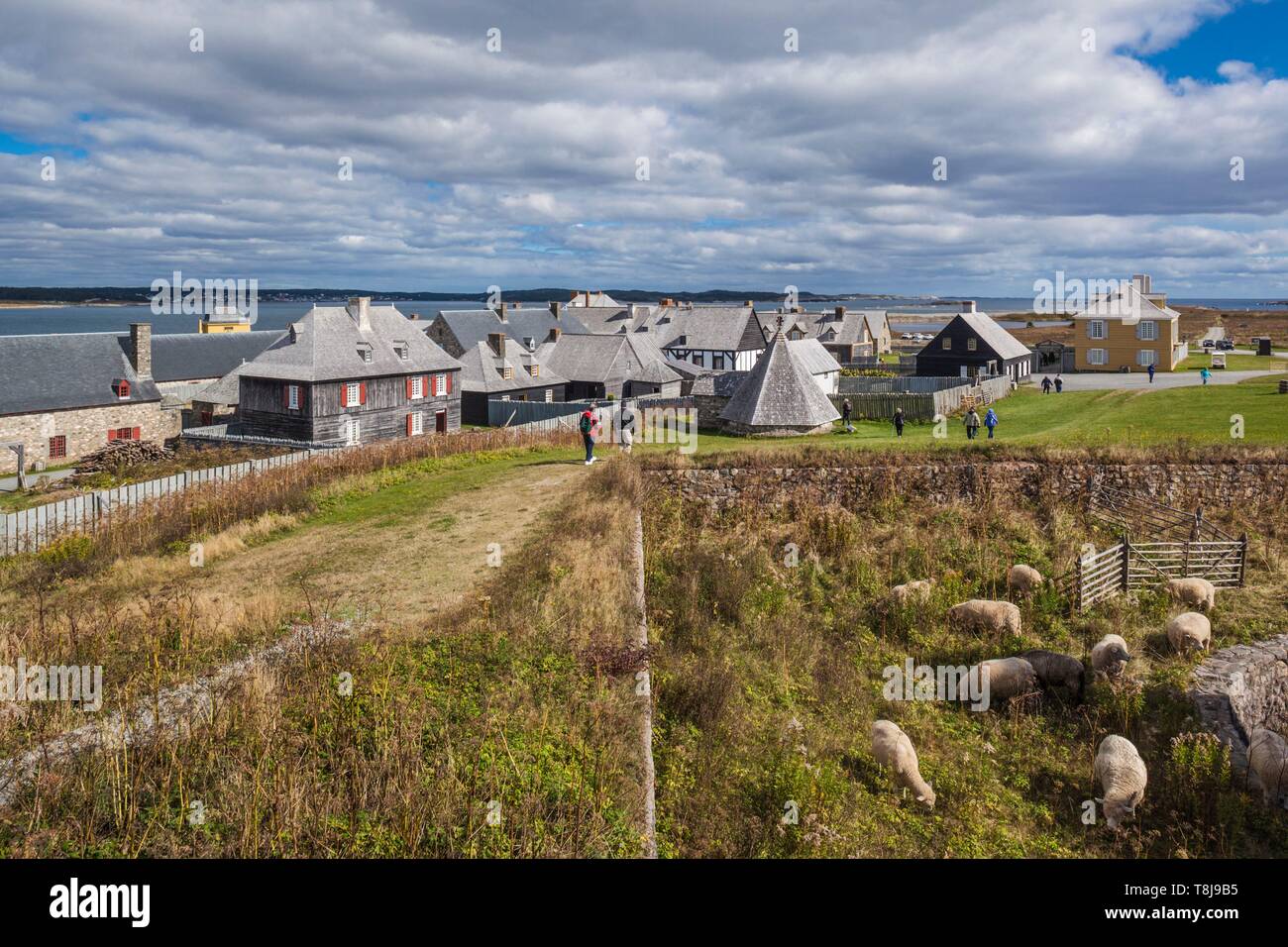 Canada, Nova Scotia, Louisbourg, Fortezza di Louisbourg National Historic Park, ricostruito edifici del comune e il pascolo di ovini Foto Stock