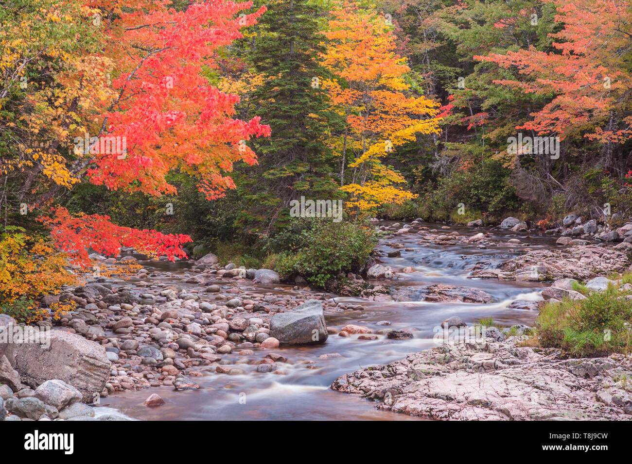 Canada, Nova Scotia, Cabot Trail, Neils Harbour, Cape Breton Highlands National Park, piccolo ruscello in autunno Foto Stock