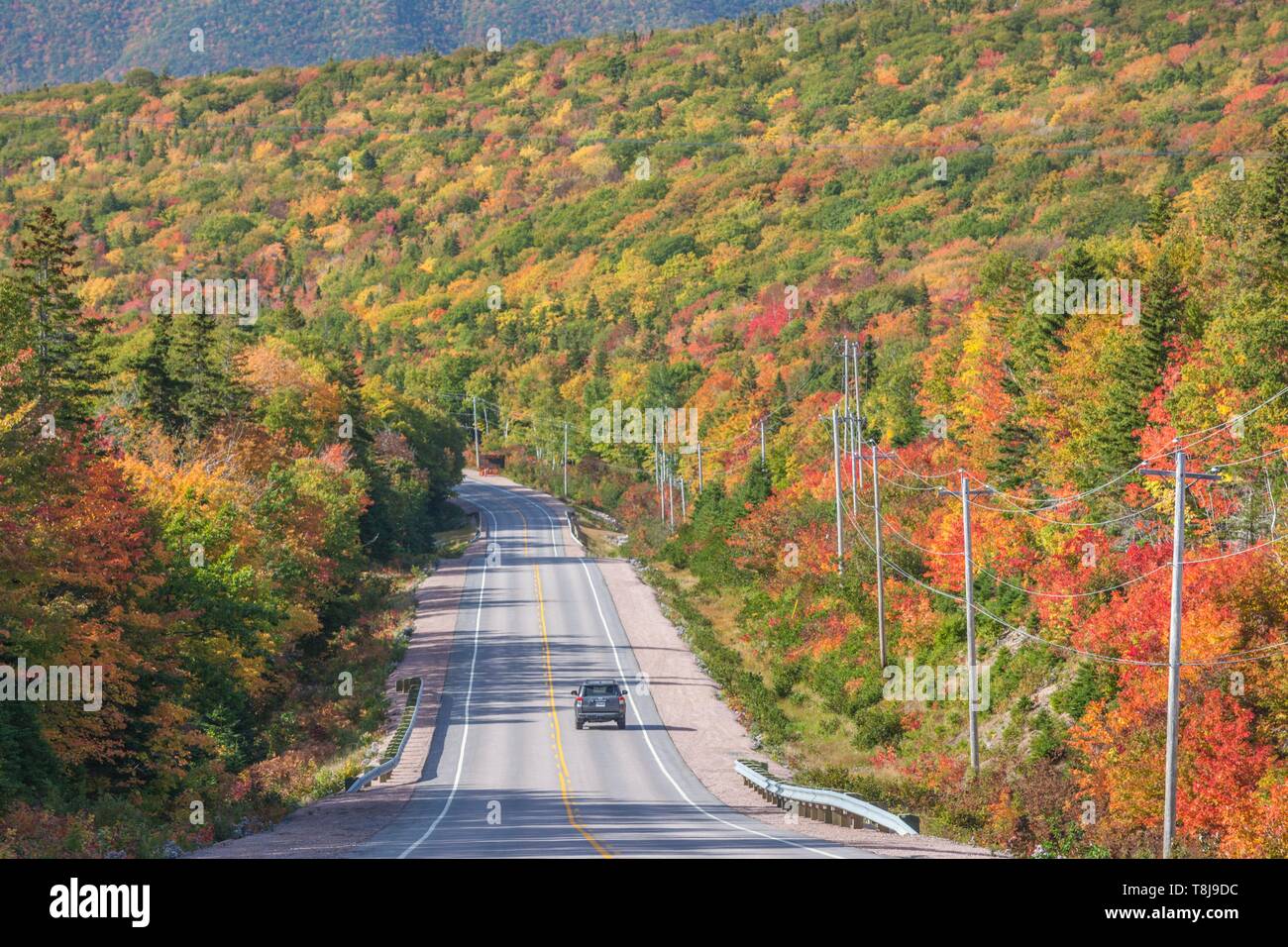 Canada, Nova Scotia, Cabot Trail, Neils Harbour, Cape Breton Highlands National Park, Highway 6 in autunno Foto Stock