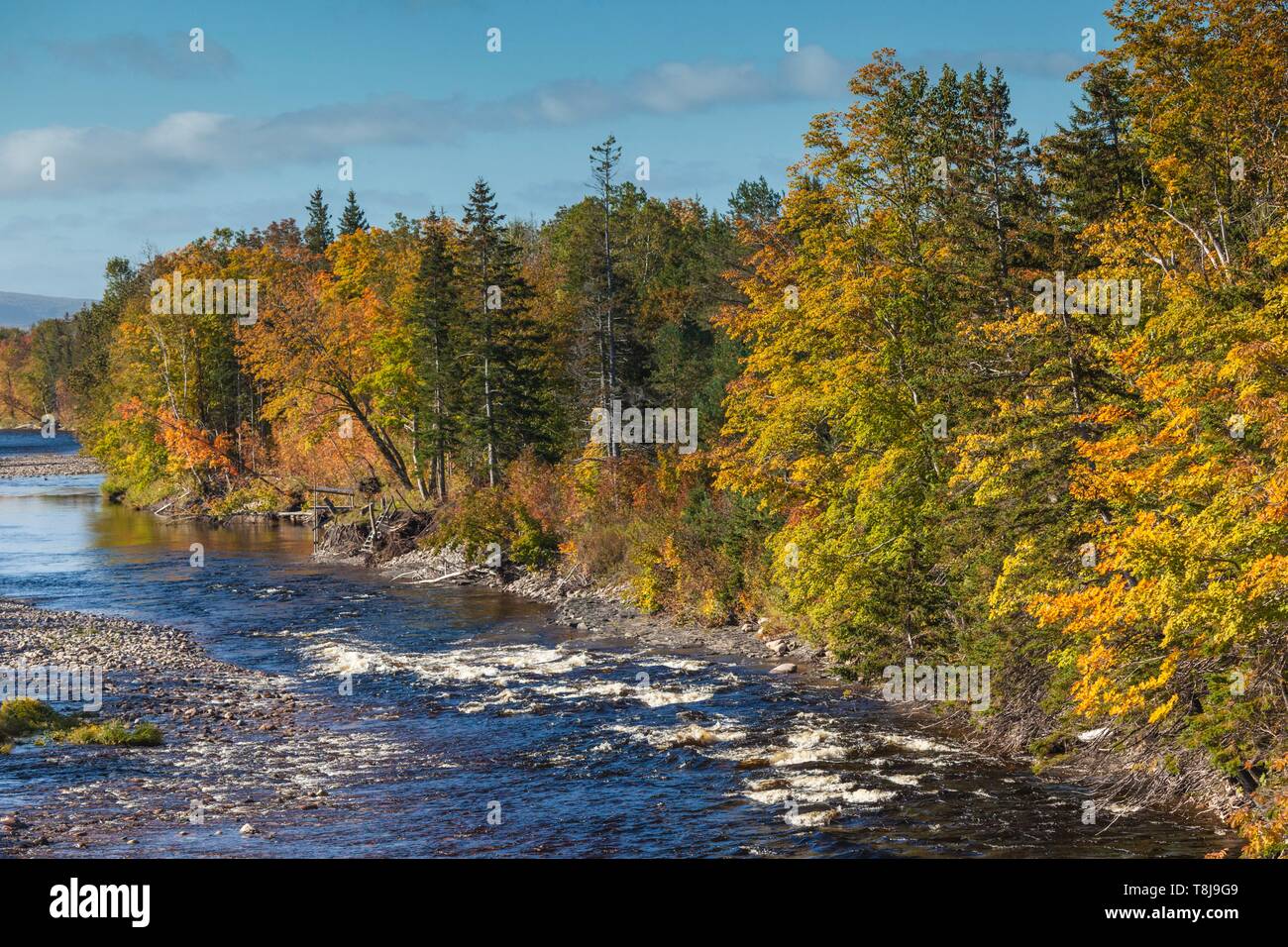 Canada, Nova Scotia, Centro Margaree, vista autunnale del Nordest Margaree River Foto Stock