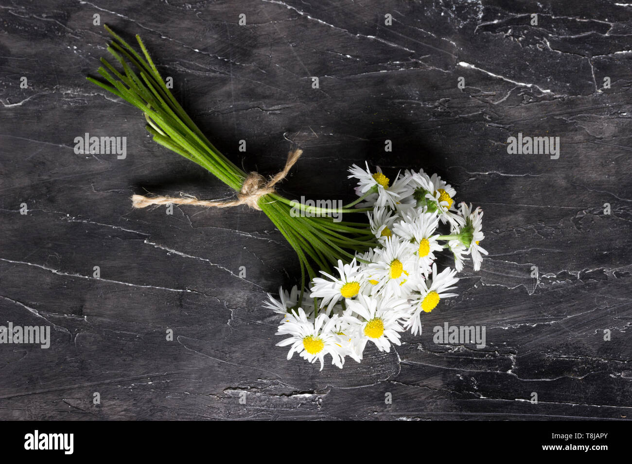 Bouquet di Daisy bianca su sfondo di legno Foto Stock
