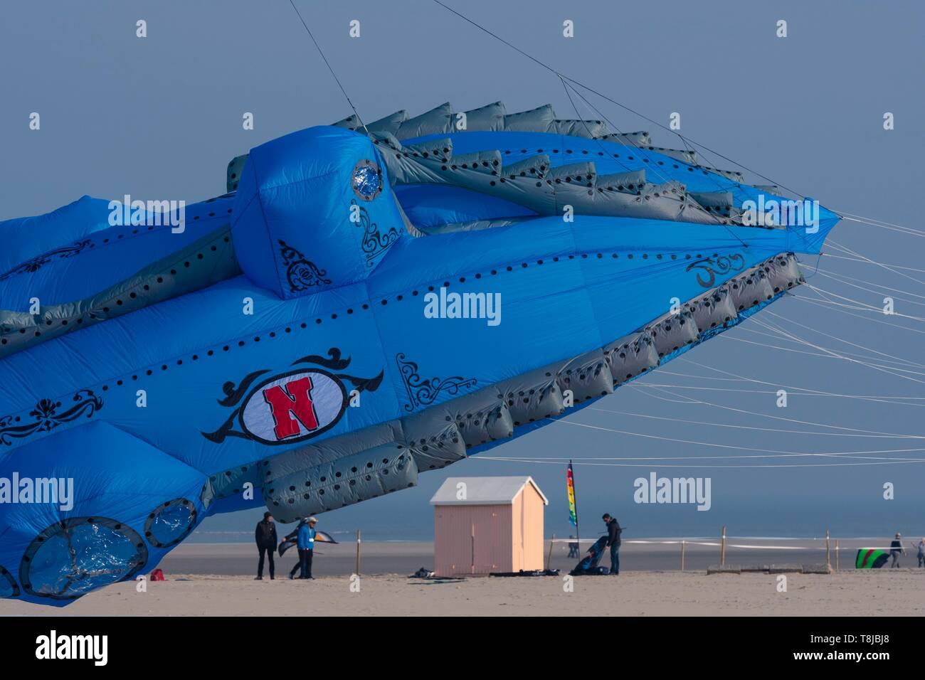 Francia, Pas de Calais, Opale Coast, Berck sur Mer, Berck sur Mer International Kite riunioni, durante 9 giorni la città accoglie 500 kites da tutto il mondo per uno dei più importanti eventi di kite in tutto il mondo Foto Stock