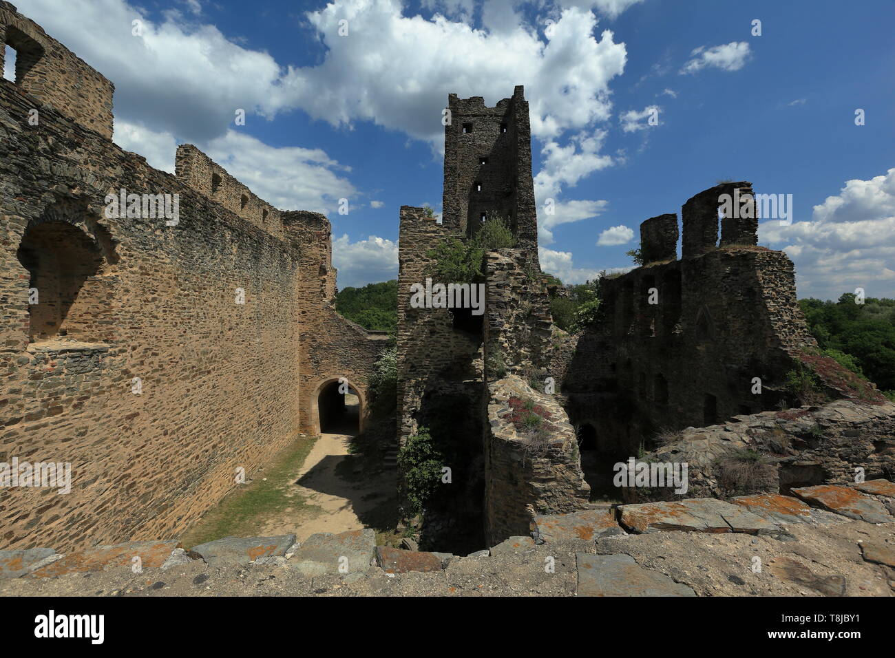 Rovine del Castello Okoø (in Ceco Okoř),a nord-ovest di Praga, nella Boemia centrale regione della Repubblica ceca. Foto Stock