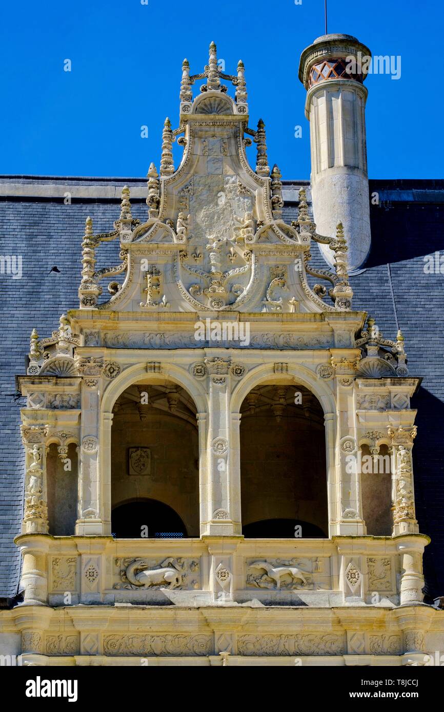 Francia, Indre et Loire, la Valle della Loira sono classificati come patrimonio mondiale dall' UNESCO, il castello di Azay le Rideau, costruito dal 1518 al 1527 da Gilles Berthelot, in stile rinascimentale, salamander simbolo del re Francois 1 Foto Stock