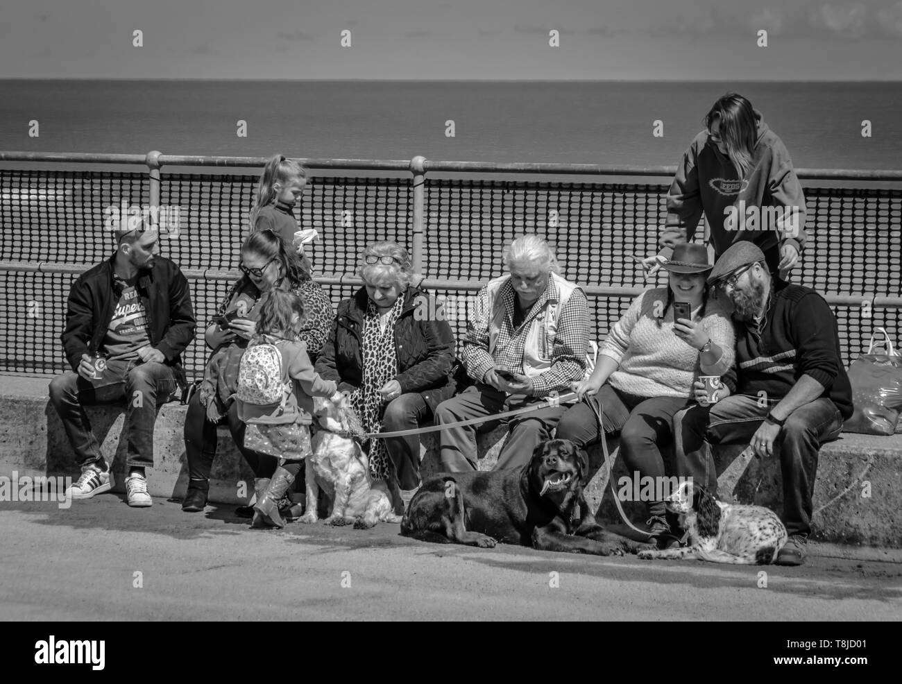 Social Media - grande gruppo familiare utilizzando i telefoni cellulari Foto Stock