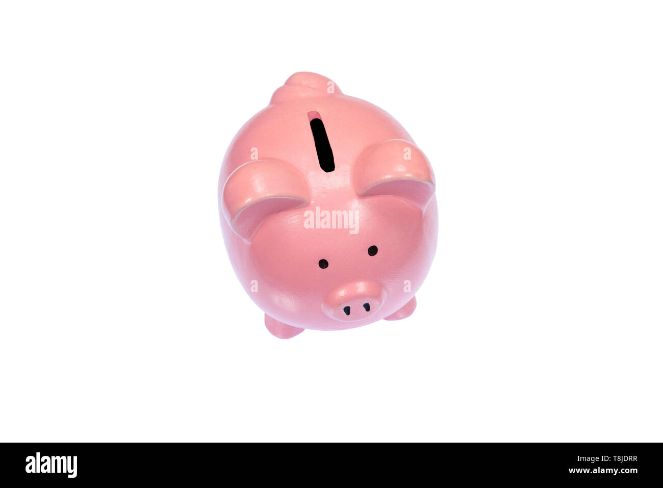 Inquadratura orizzontale guardando verso il basso su una rosa salvadanaio con una fessura sul suo retro. Sfondo bianco. Copia dello spazio. Prese su di un tavolo luminoso. Foto Stock