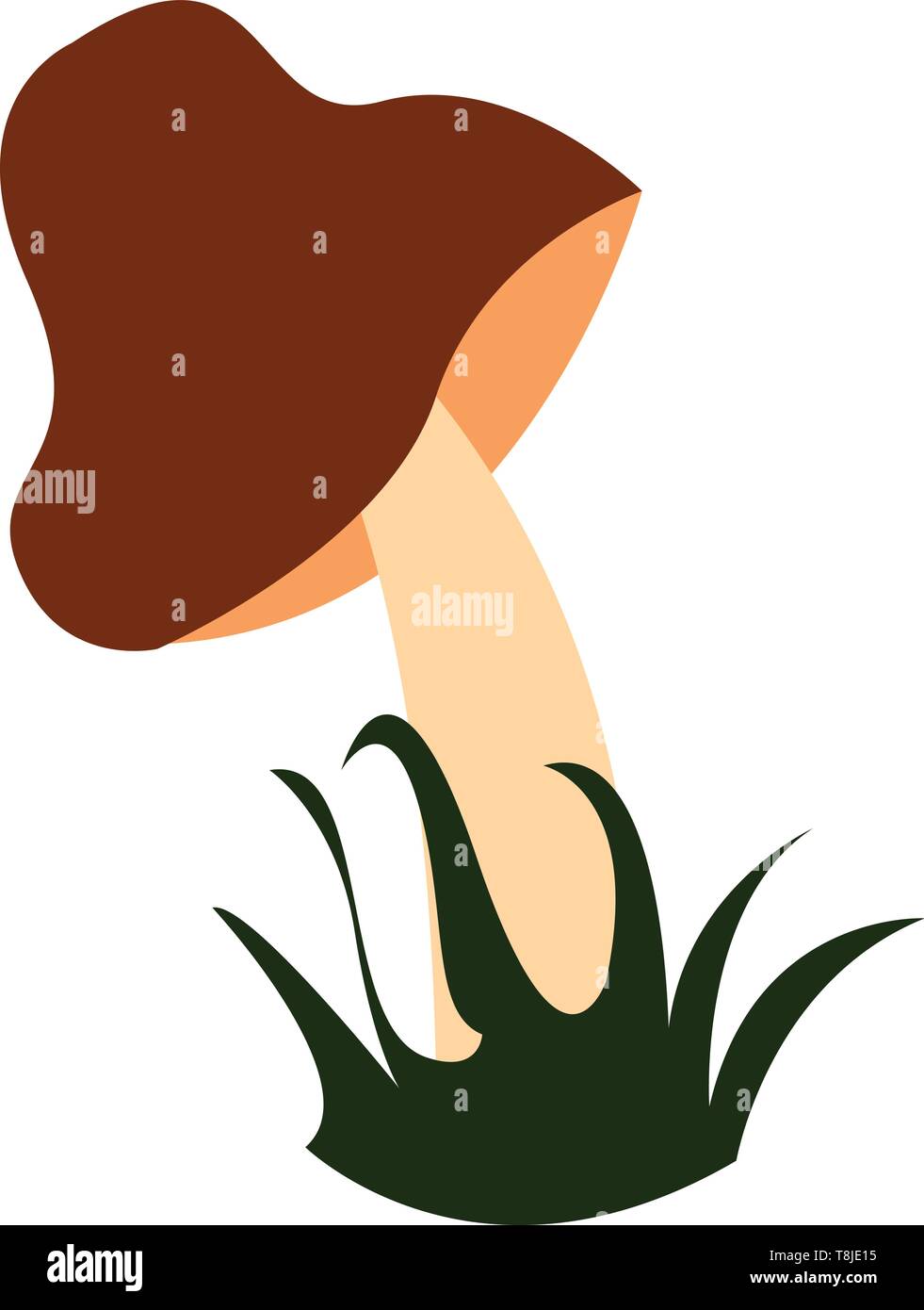 Il colore marrone fungo foglia verde, il vettore, il colore di disegno o illustrazione. Illustrazione Vettoriale