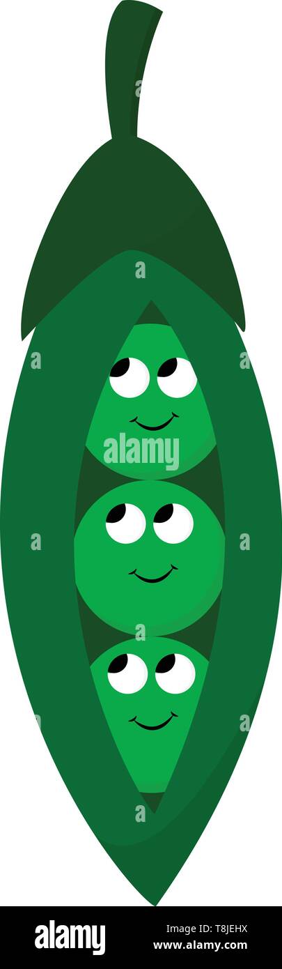 Tre piselli verdi con volto sorridente e occhi rotondi, il vettore, il colore di disegno o illustrazione. Illustrazione Vettoriale