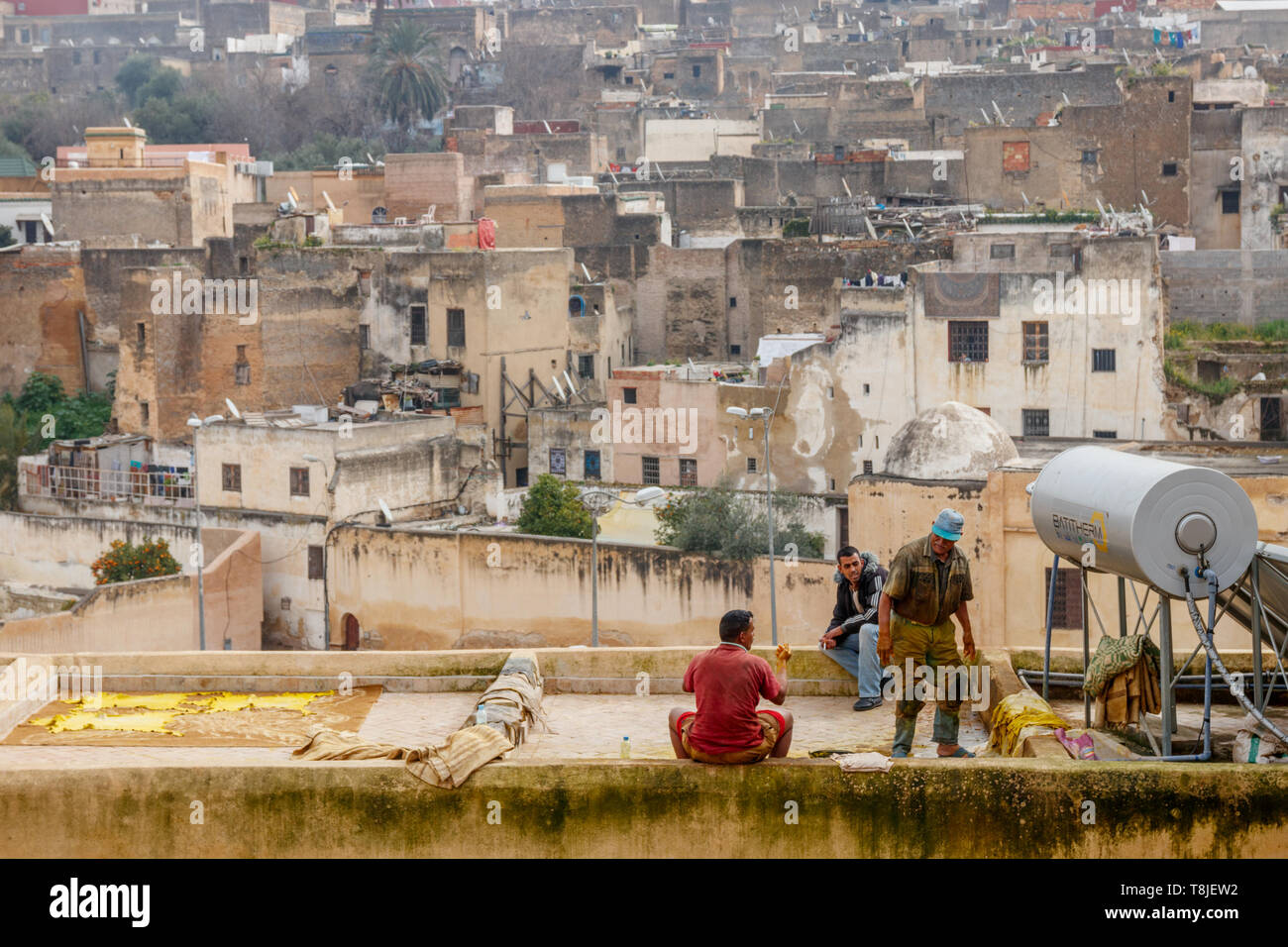 Lavoratori la preparazione di pelli colorate con lo zafferano in un tetto della conceria Chouara con le case della vecchia medina in background. Fez, in Marocco. Foto Stock