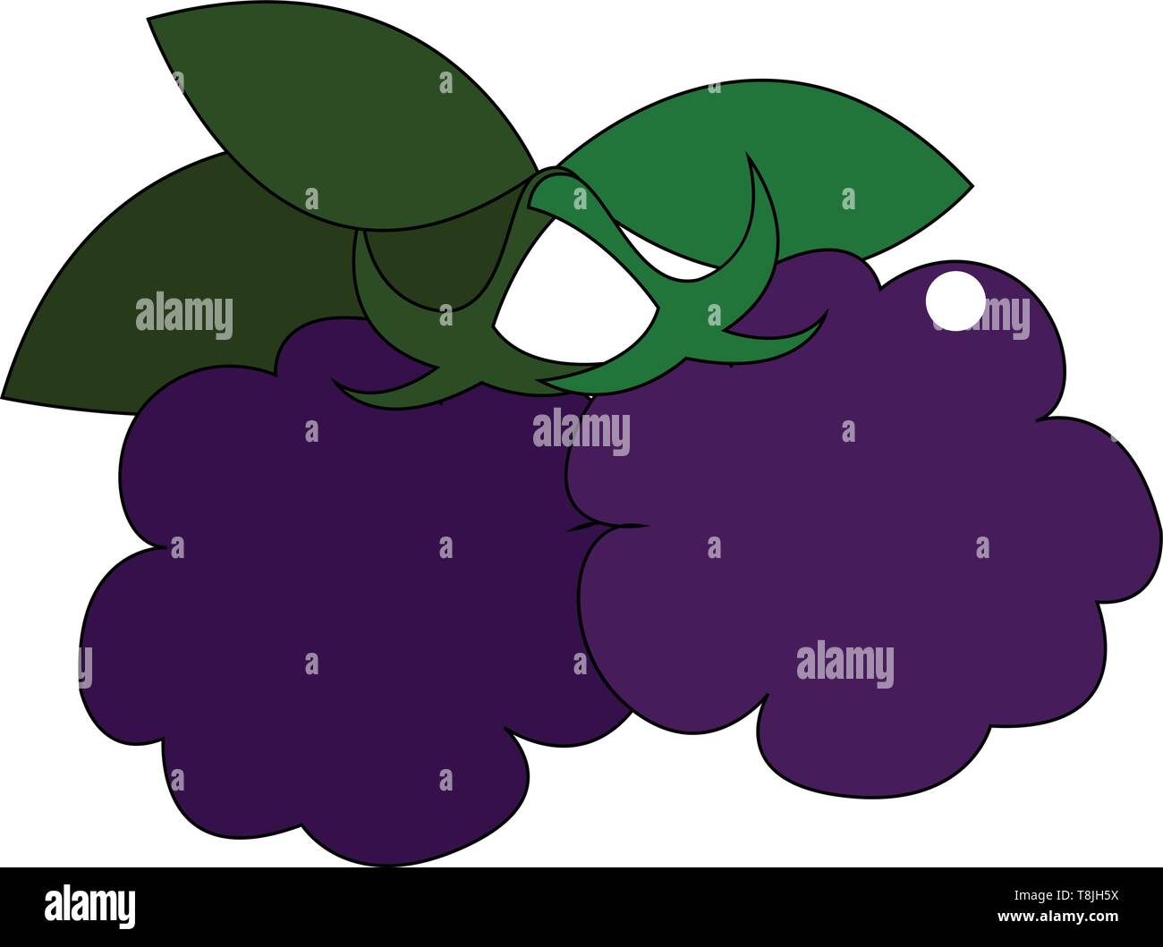 Un blackberry con foglie, il vettore, il colore di disegno o illustrazione. Illustrazione Vettoriale