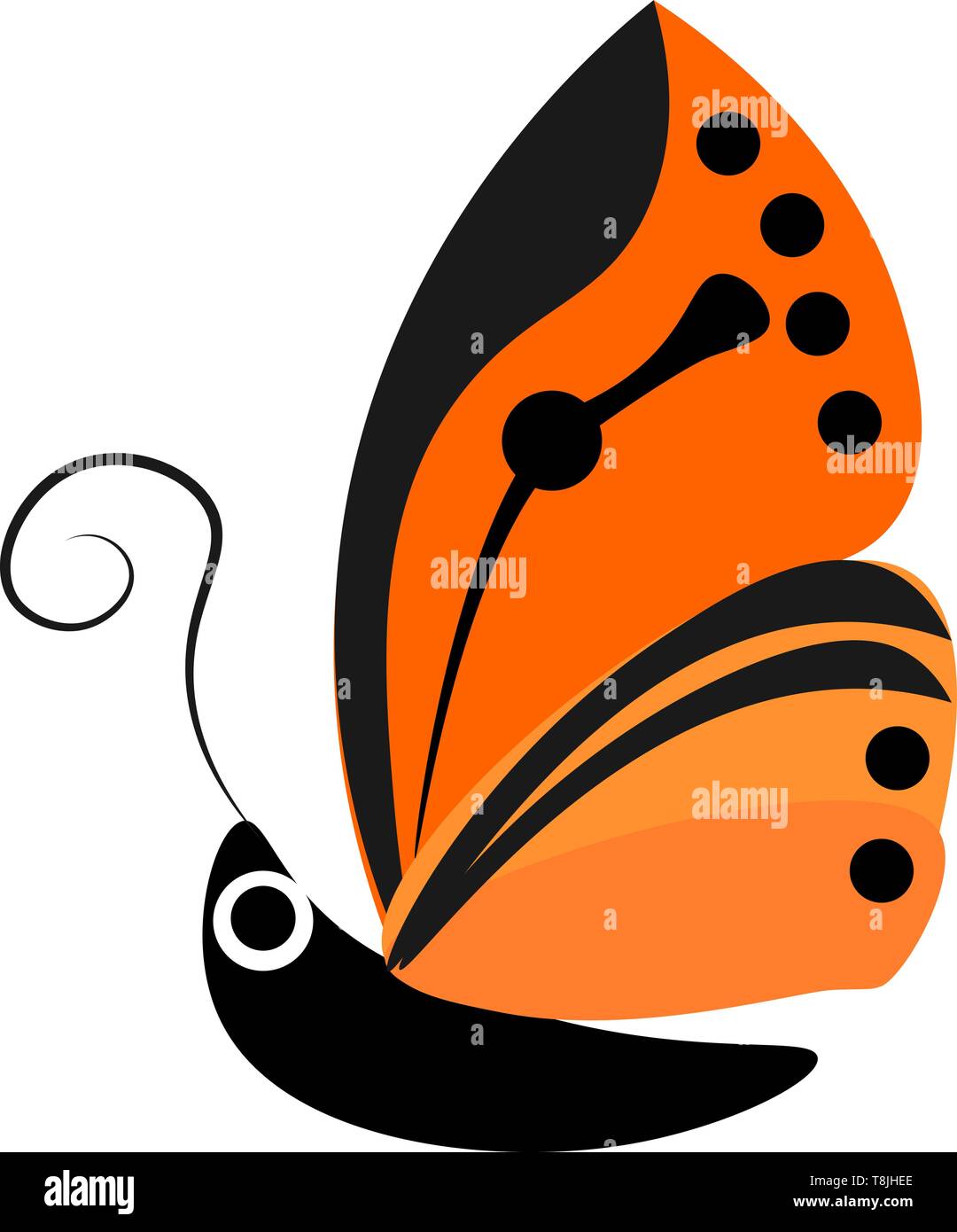 Il disegno di una farfalla sulla vista laterale che mostra un occhio e una antenna. Le ali sono marrone e arancione, che ha macchie nere e disegni, vettore, colore d Illustrazione Vettoriale