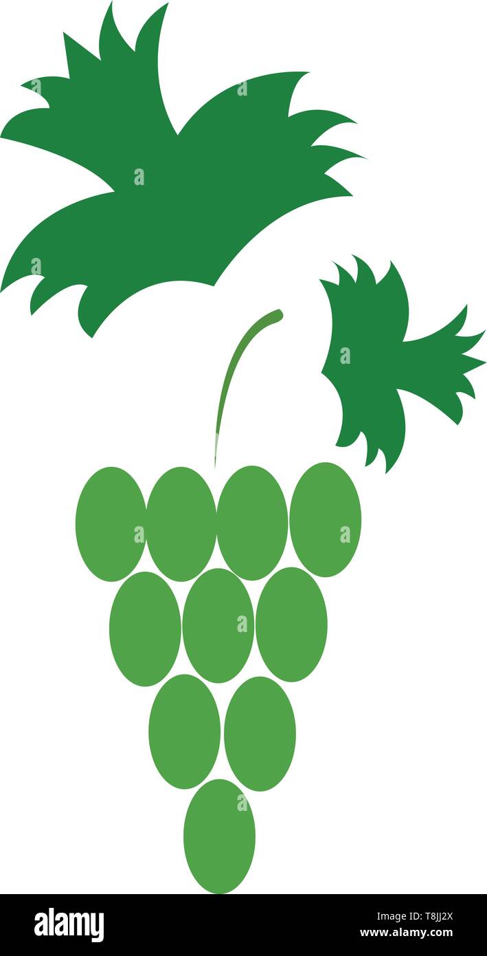 Grappolo di uva verde con foglie verdi, il vettore, il colore di disegno o illustrazione. Illustrazione Vettoriale