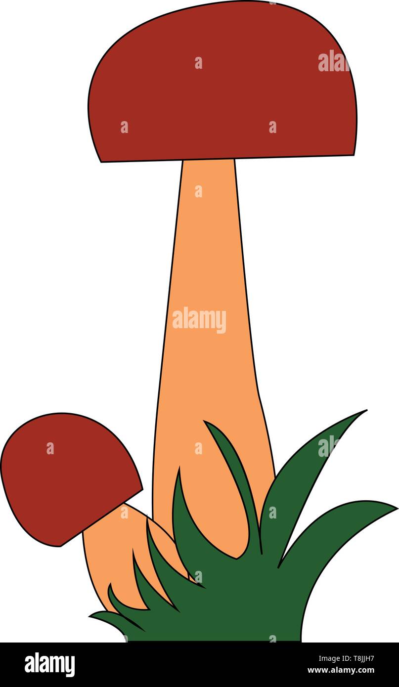 Un fungo lunga con un piccolo fungo accanto ad esso, il vettore, il colore di disegno o illustrazione. Illustrazione Vettoriale